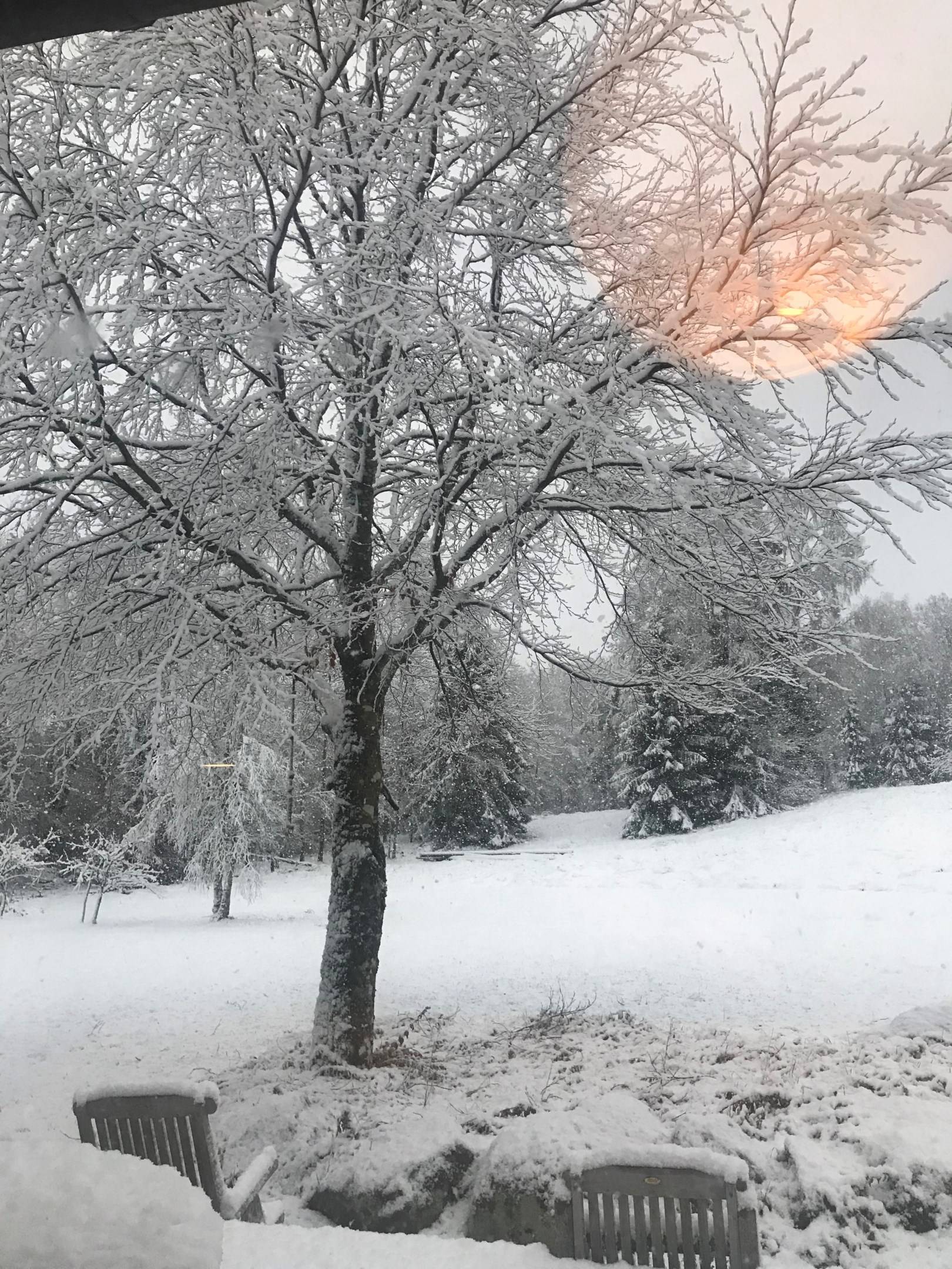95 m² Fritidshus på Rävshult 12 Mästocka Laholms kommun - bild 39