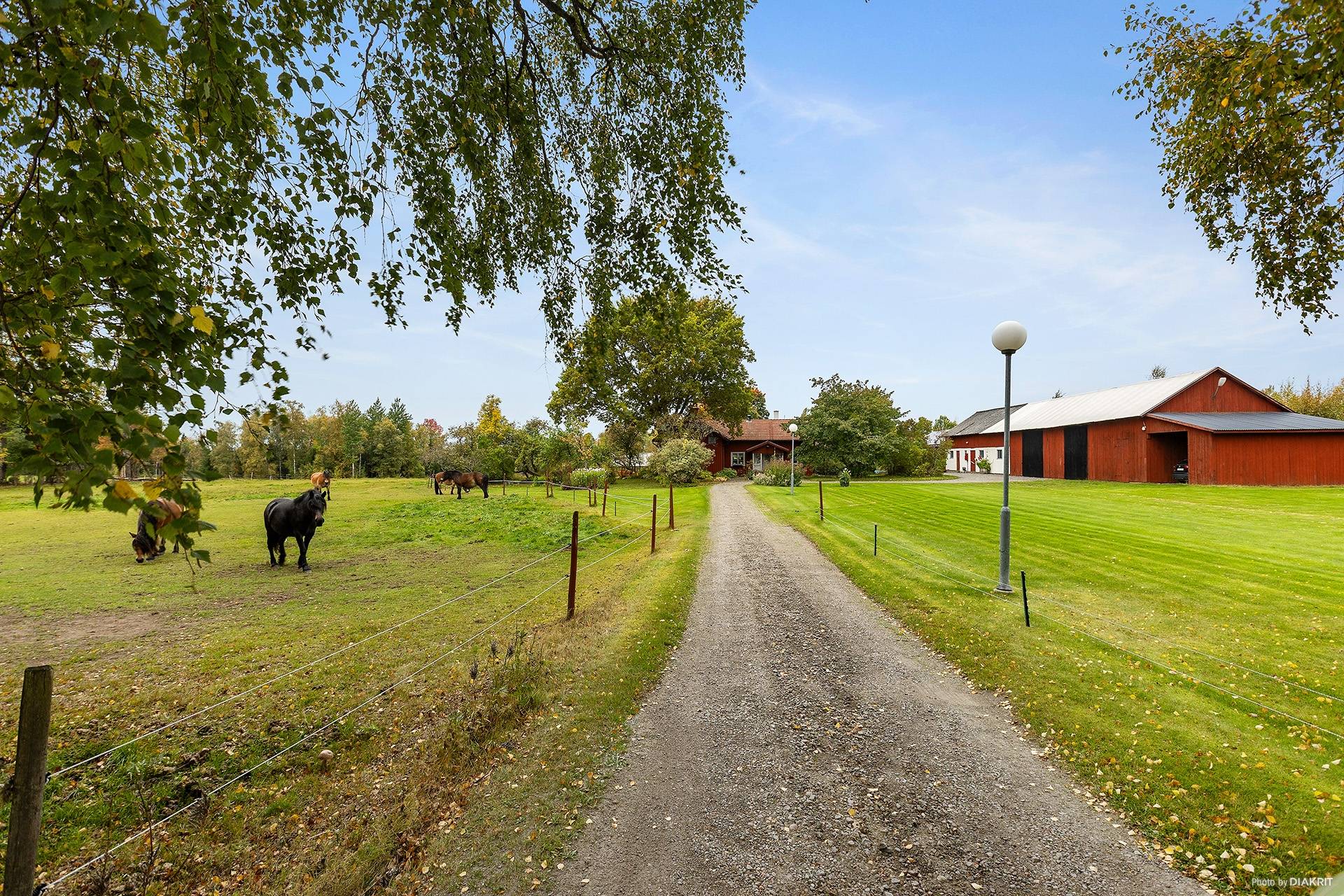 5 rum Gård/skog på Söråsen 1 Laxå kommun - bild 6