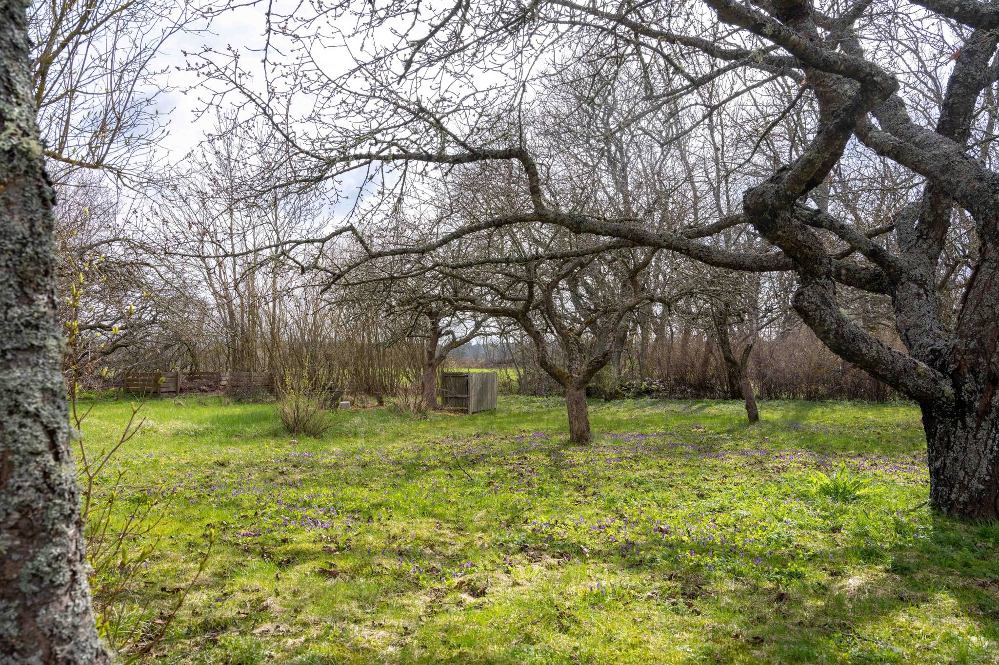 4 rum Villa på Väskinde Nors 622 Väskinde Brissund Gotlands kommun - bild 5