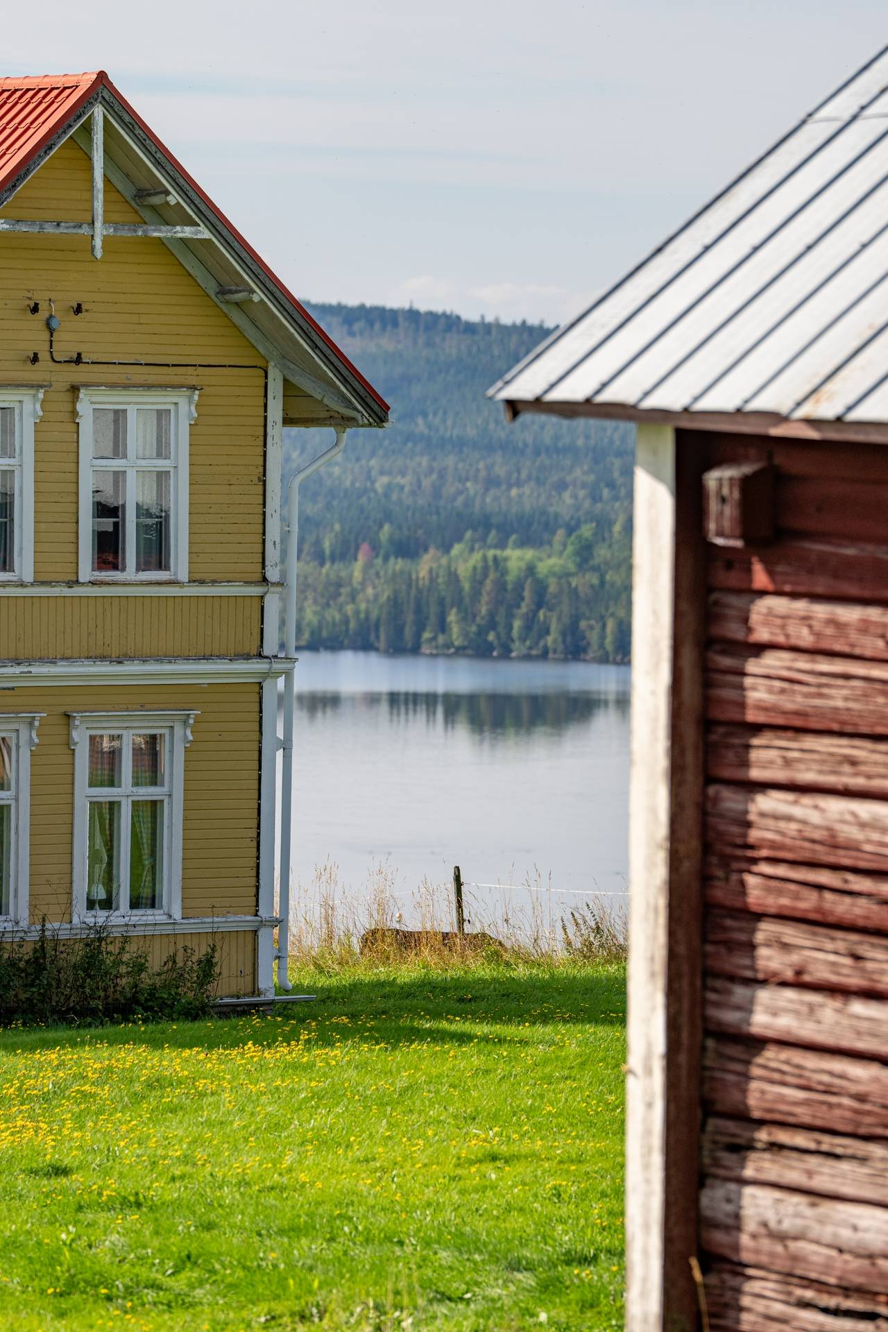 Gård med jordbruk på Alsen Krokoms kommun - bild 34