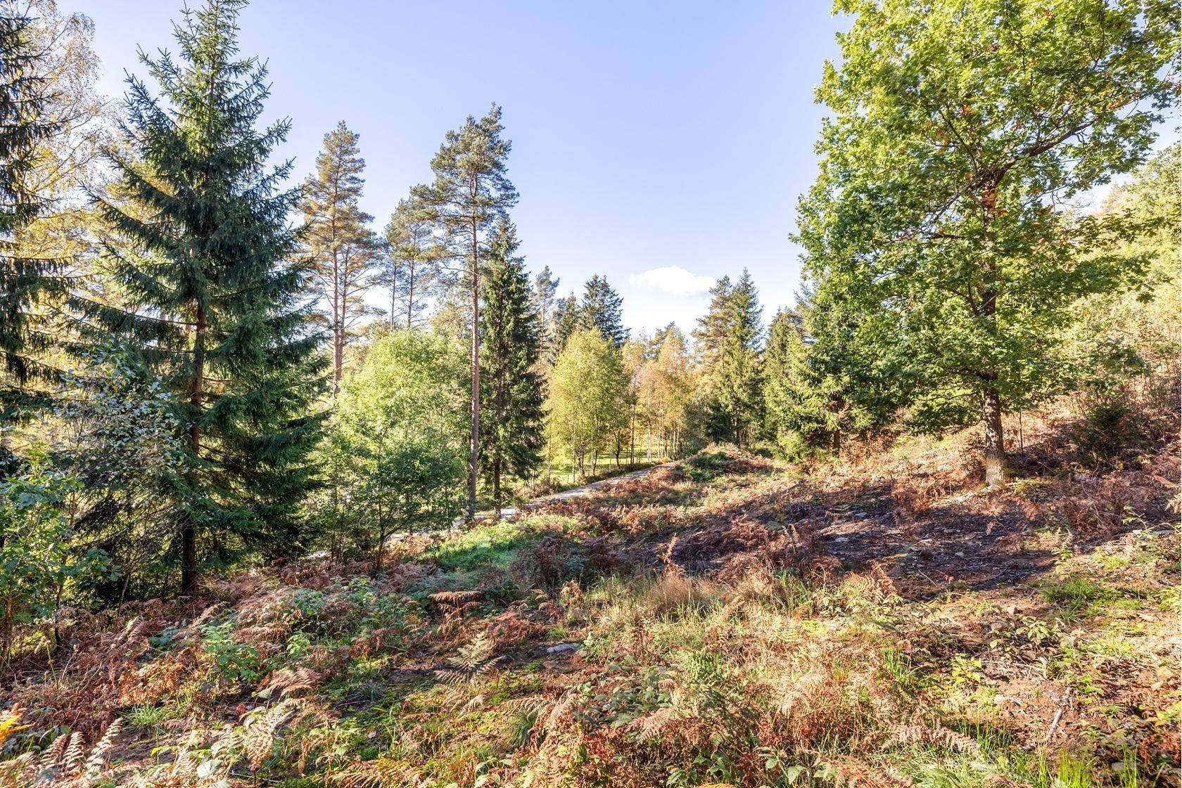 Hällingsjö, Härryda kommun