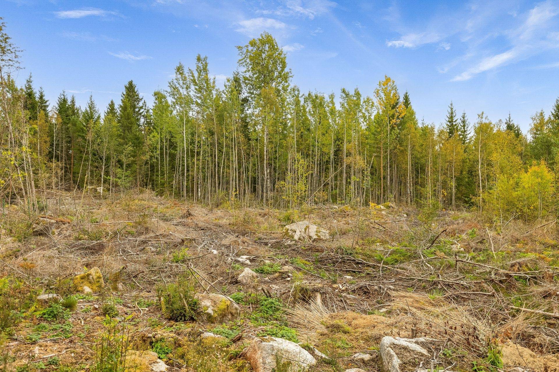 Gård/skog på Bäcken Hagen 2 Töreboda kommun - bild 39