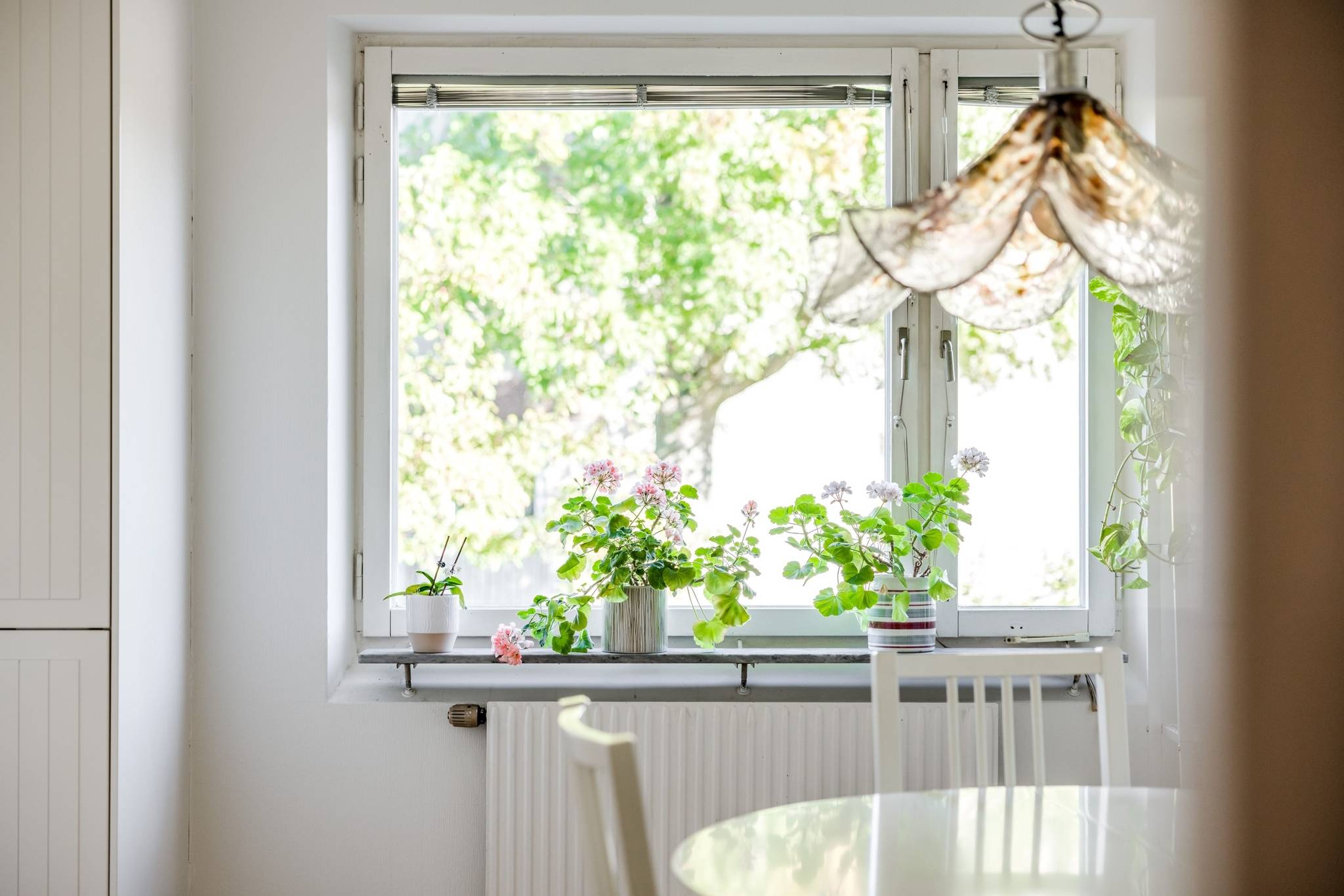 3 rum Lägenhet på Dansörgatan 6 Lindeborg Malmö kommun - bild 12