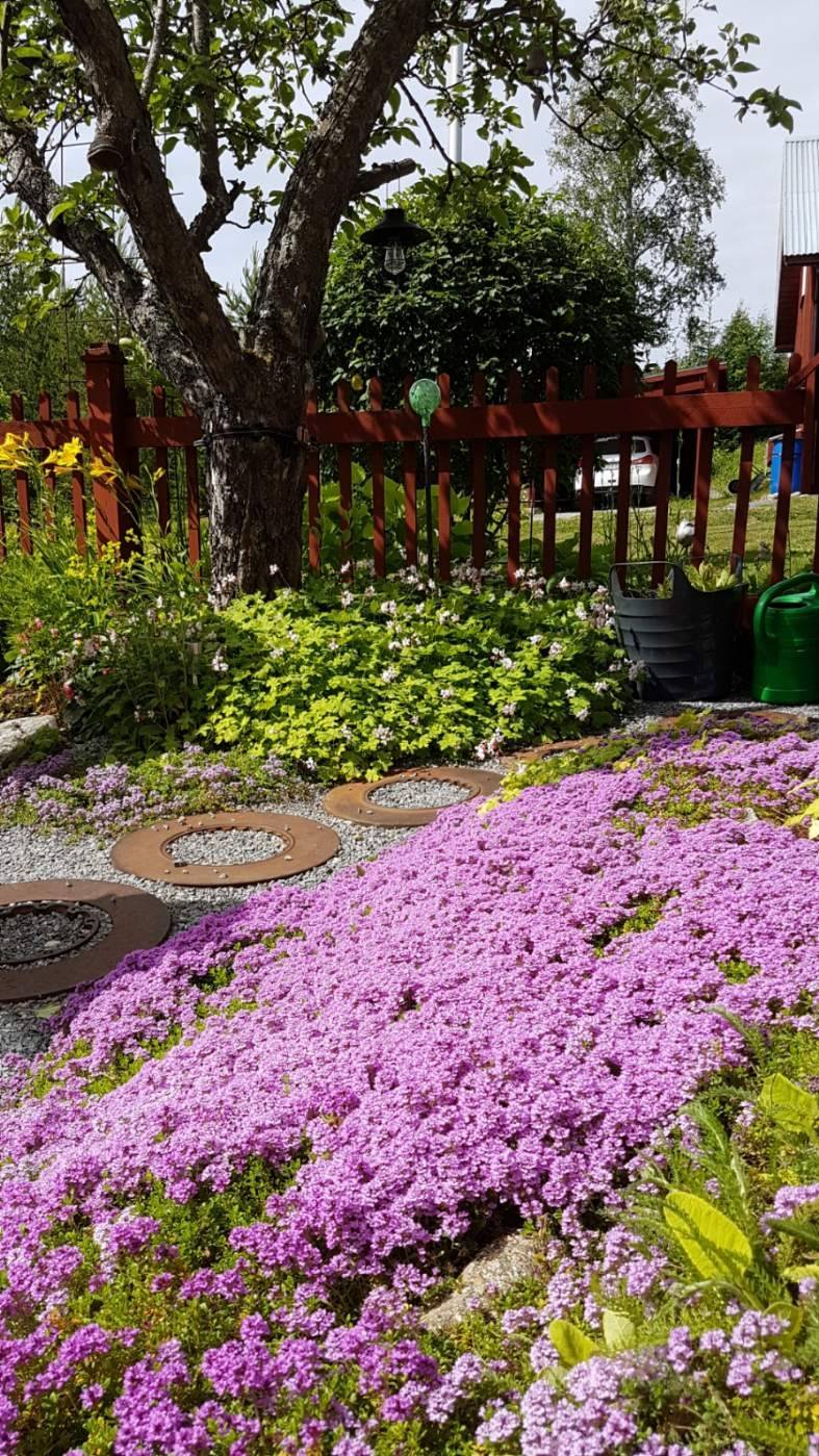 5 rum Villa på Kasa 116 Kasa Örnsköldsviks kommun - bild 41