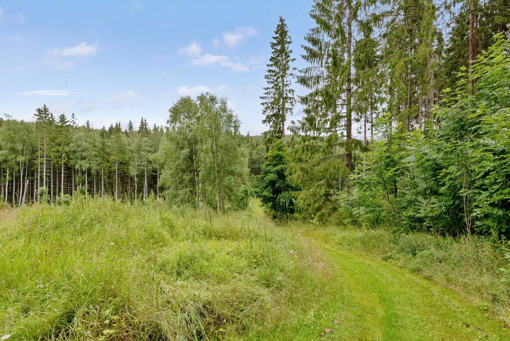 6 rum Gård med skogsbruk på Tisselskogs-Dalen 5 Tisselskog Bengtsfors kommun - bild 6