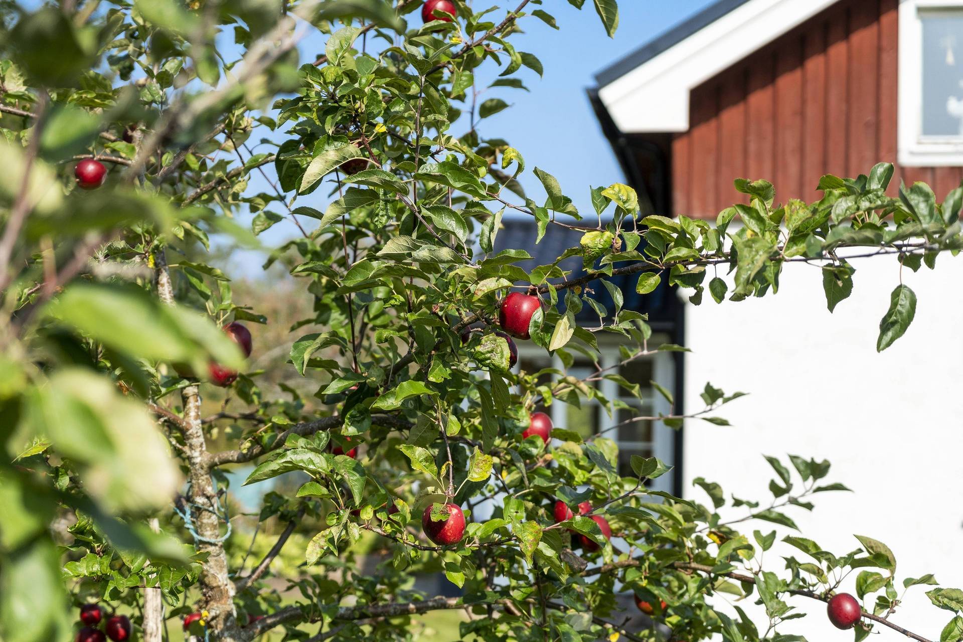 6 rum Villa på Sollum 122 Hjärtum Lilla Edets kommun - bild 48