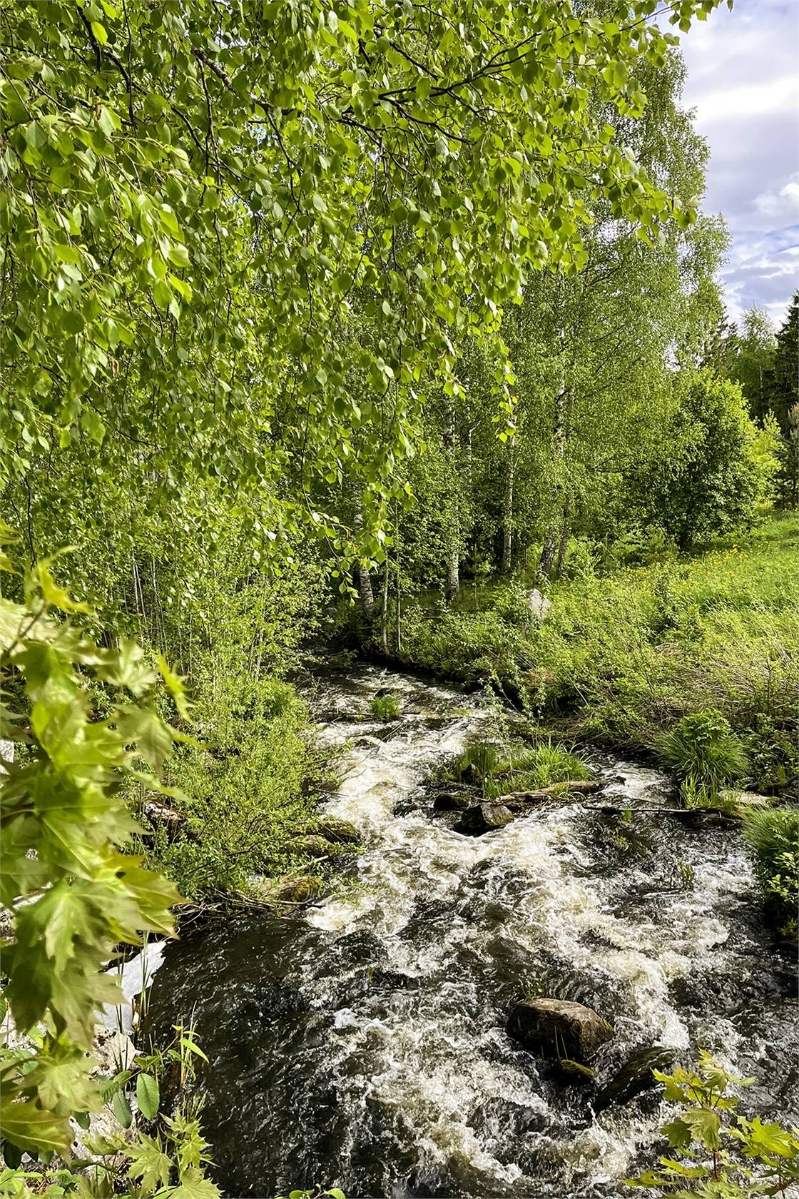 3 rum Villa på Acktjära 2357 Kilafors Bollnäs kommun - bild 21