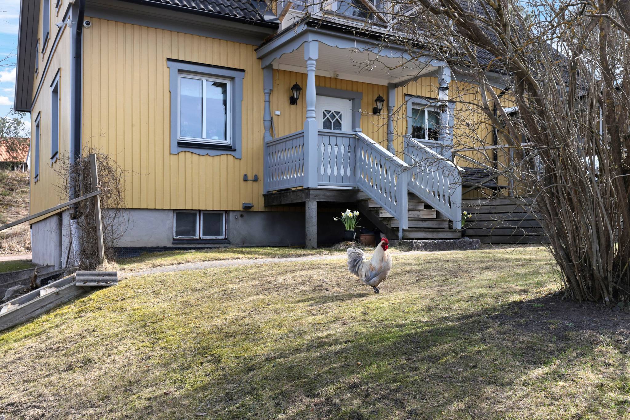 5 rum Villa på Sydingösby 103 Alunda Östhammars kommun - bild 38