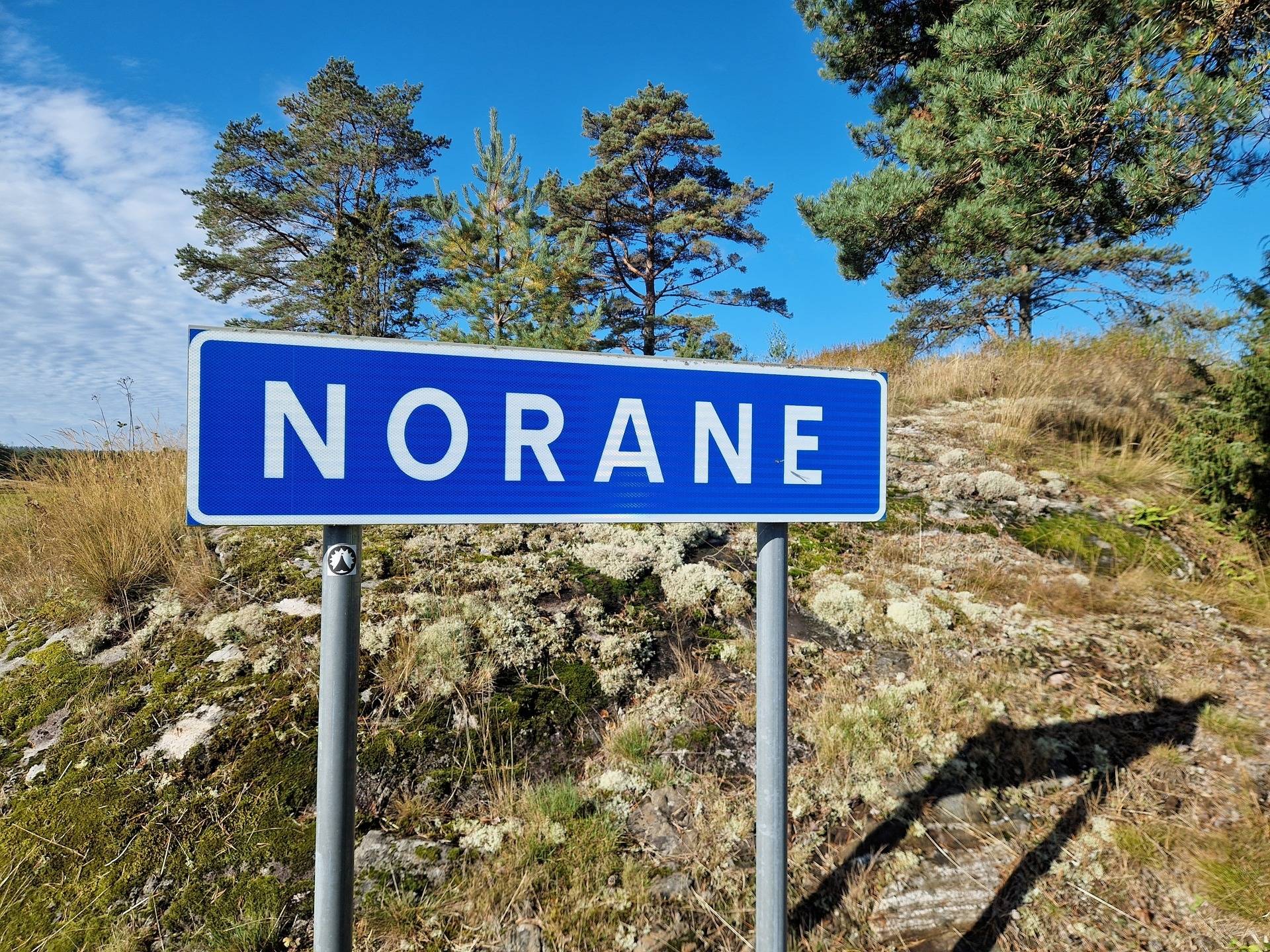 Gård med skogsbruk på Norane 1:19 Dals-Ed Dals-Eds kommun - bild 11