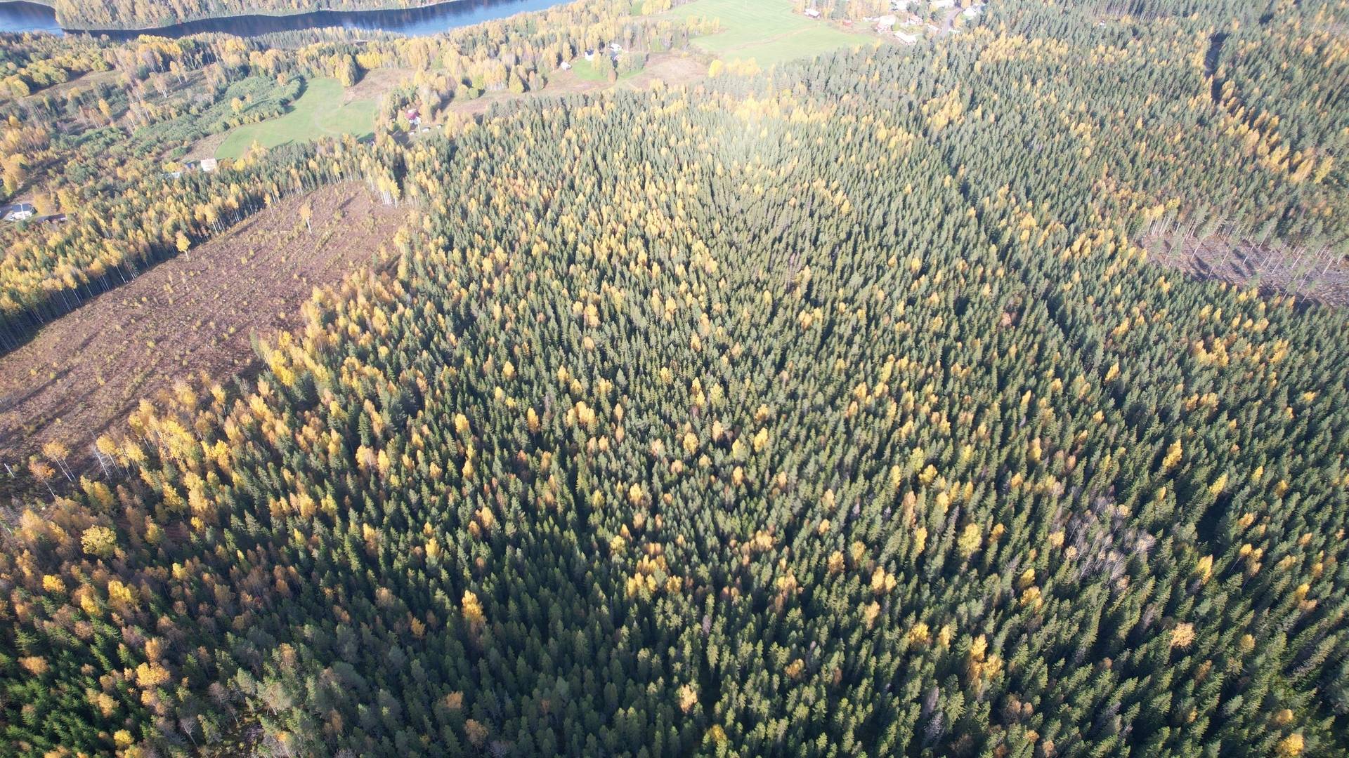 Gård/skog på RAGUNDA RAGUNDA-BÖLE 2:107 Ragunda kommun - bild 21