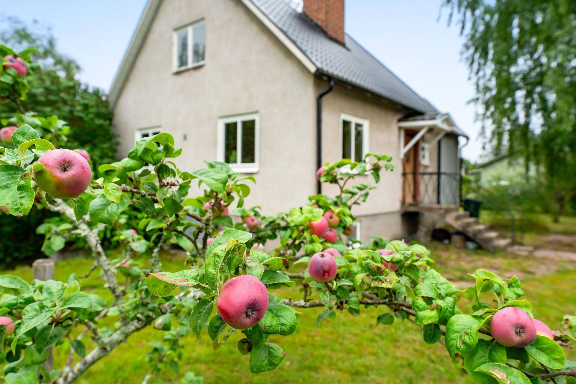 4 rum Villa på Riddersdalsvägen 14 Älvkarleby Älvkarleby kommun - bild 37