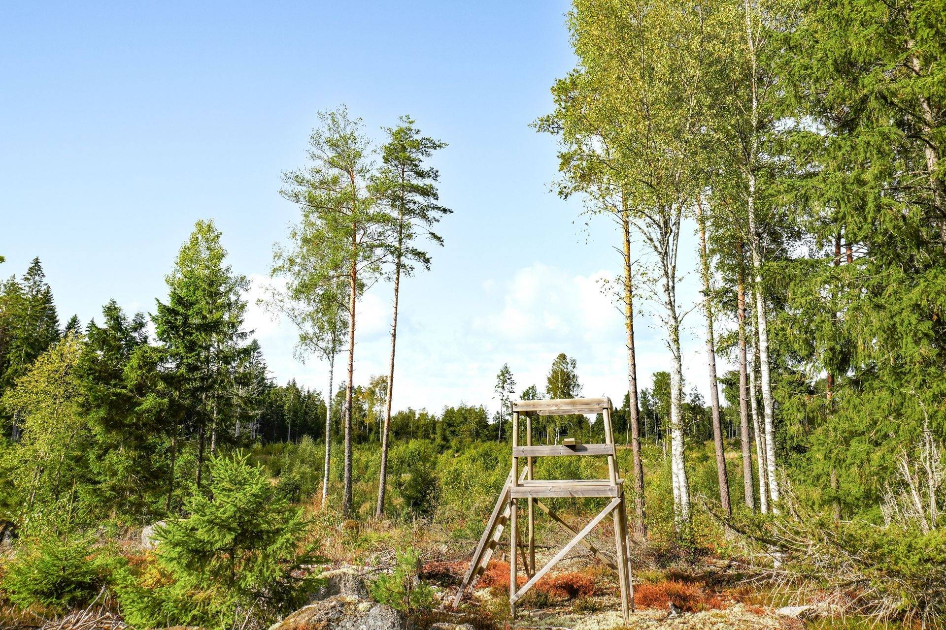Gård med skogsbruk på NORRTÄLJE SÖDERMARJUM 2:2 Norrtälje kommun - bild 6