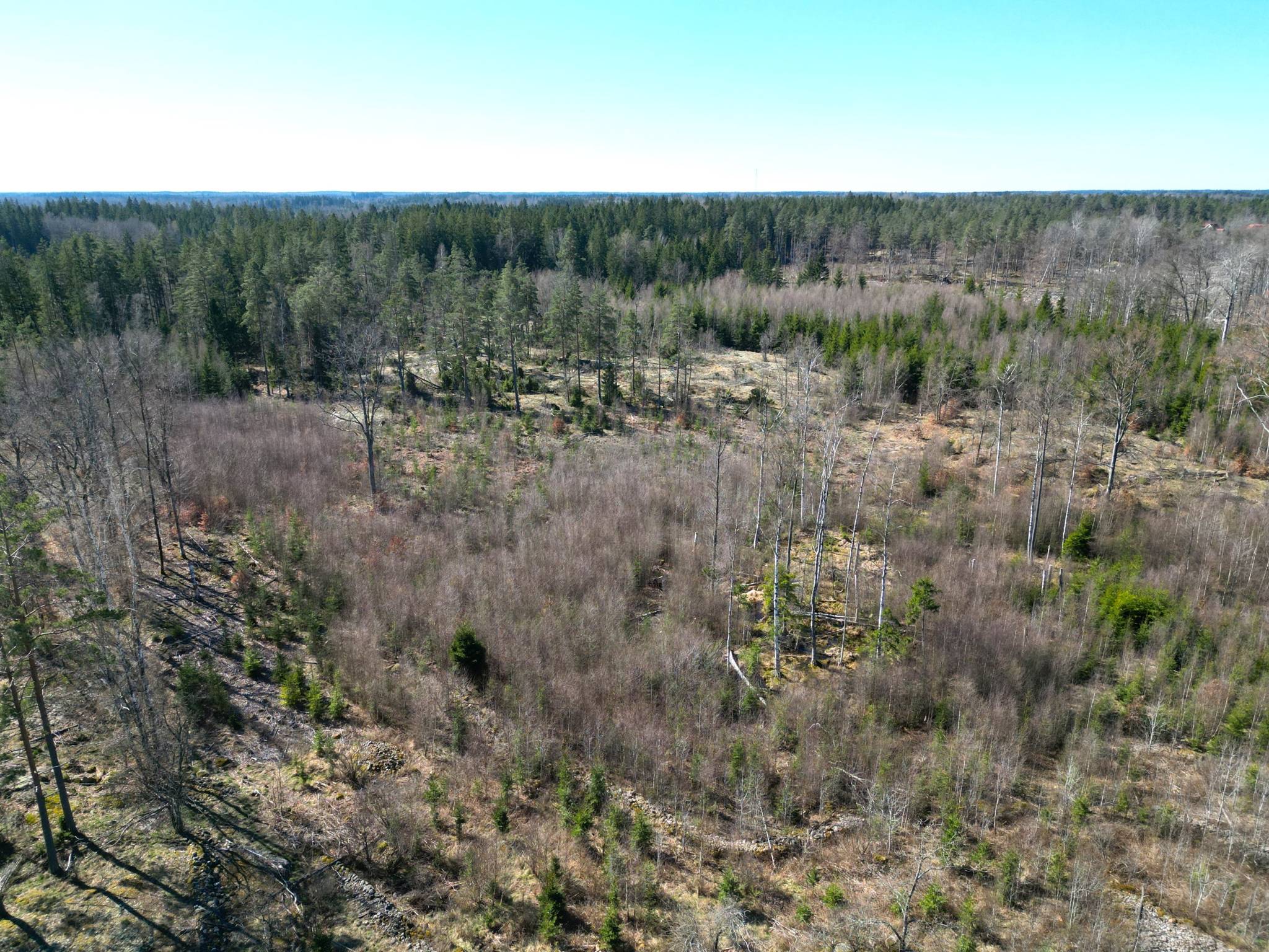 Gård med skogsbruk på Juanslycke, Torsås Torsås kommun - bild 10