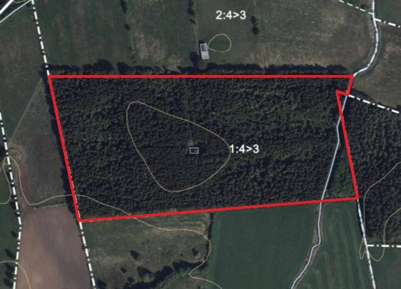 5 rum Gård/skog på Frinnestad Övregården 4 Herrljunga kommun - bild 24