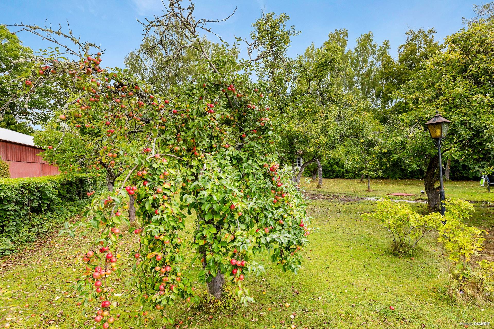 4 rum Villa på Korsgatan 2 Lanna Lekebergs kommun - bild 24