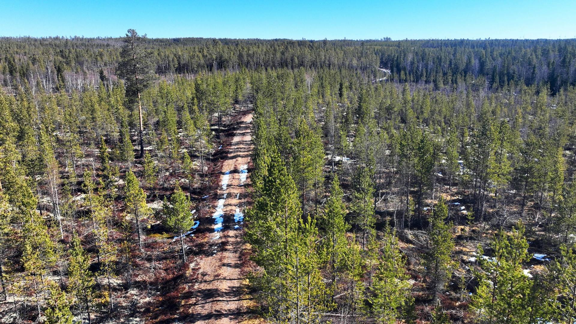Gård med skogsbruk på ORRMO Härjedalens kommun - bild 9