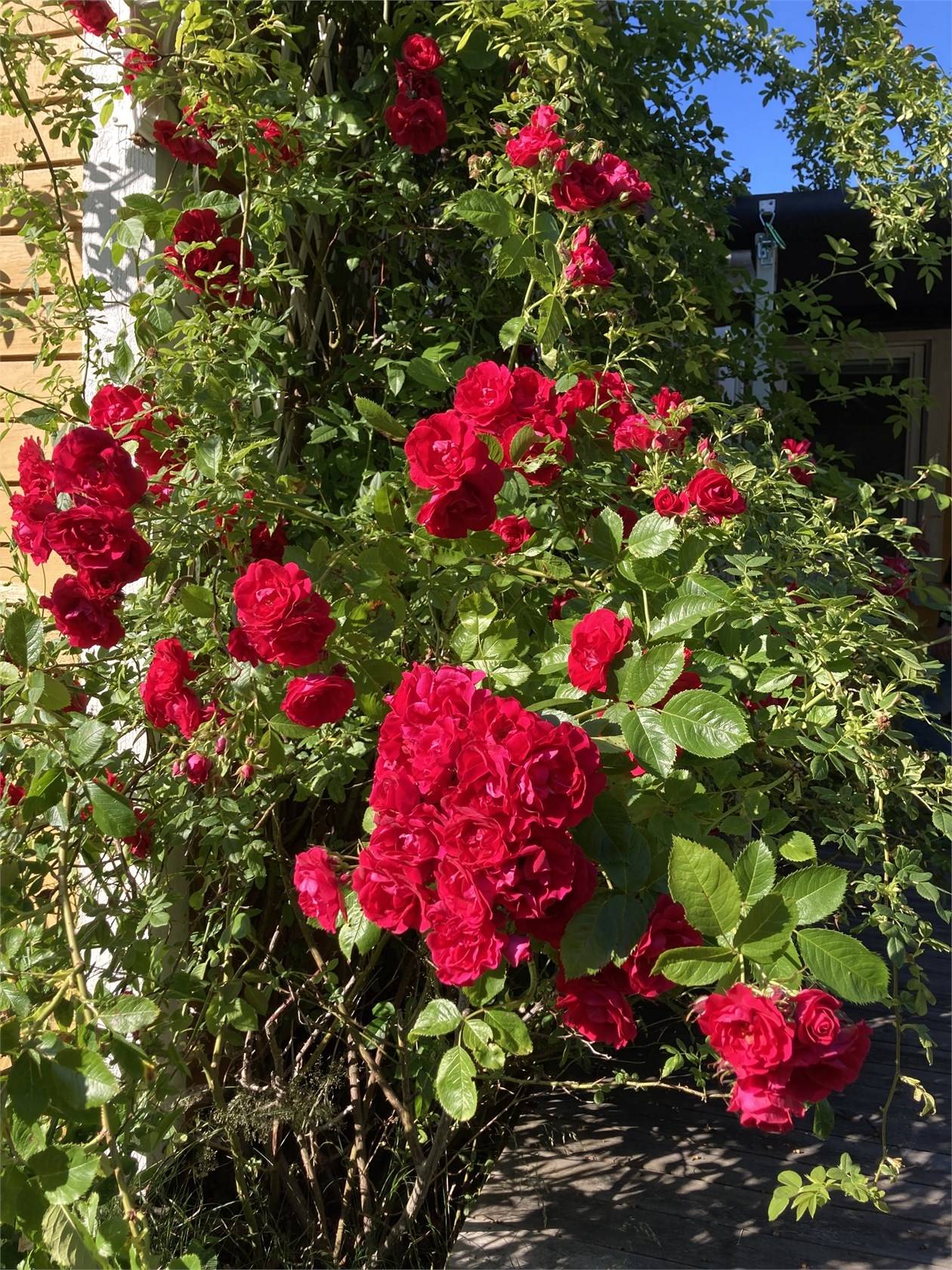 4 rum Villa på Krokens väg 8 Tjuvkil/ Lycke Kungälvs kommun - bild 43