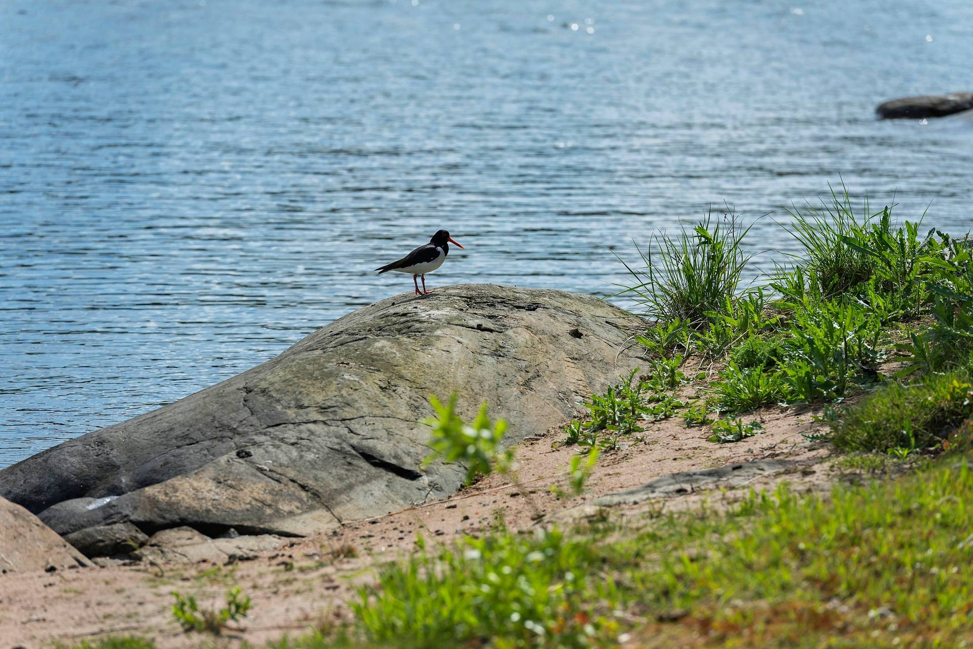 3 rum Villa på Lilla Sälgrundet 1 Norrtälje kommun - bild 37