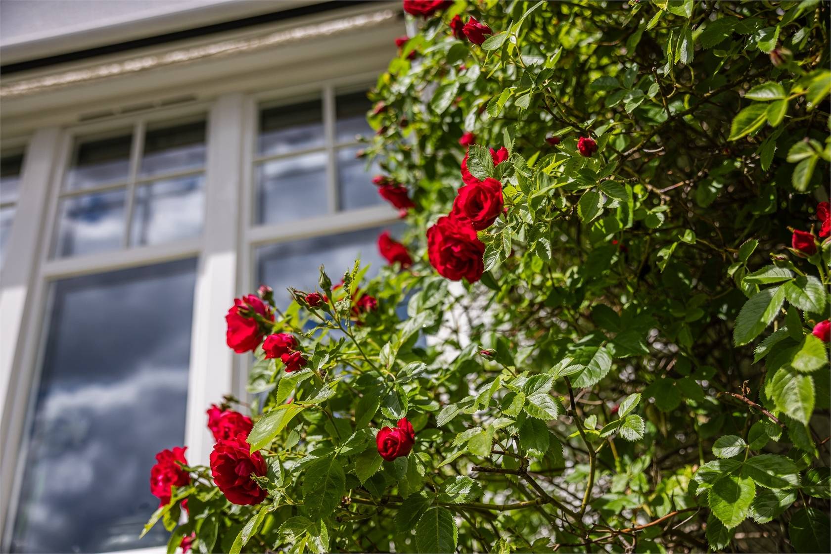 8 rum Villa på Fabriksgatan 32 Marieborg Västerviks kommun - bild 32