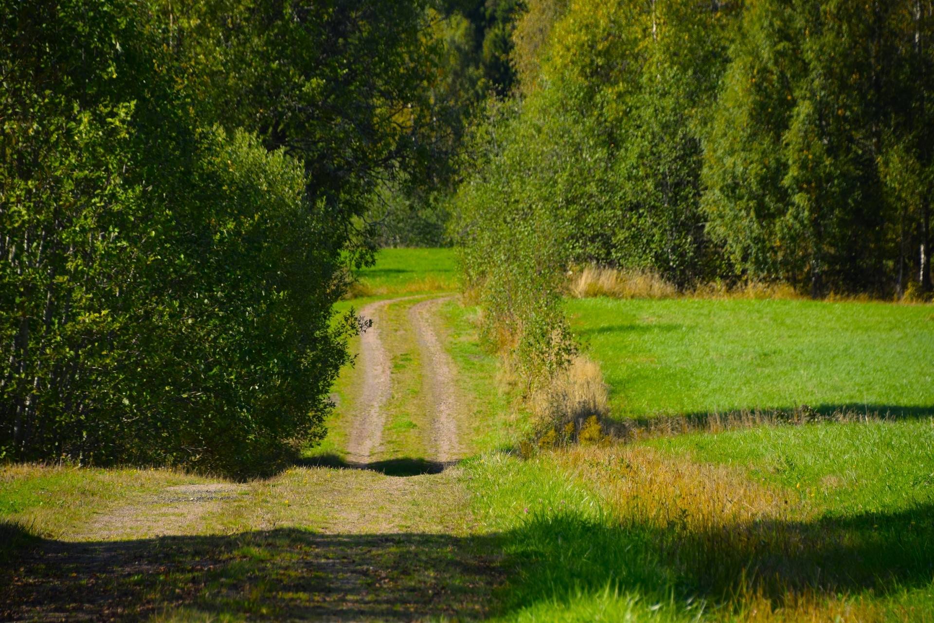Gård med jordbruk på Snårbotten Laggartorp 23 Laggartorp Storfors kommun - bild 7