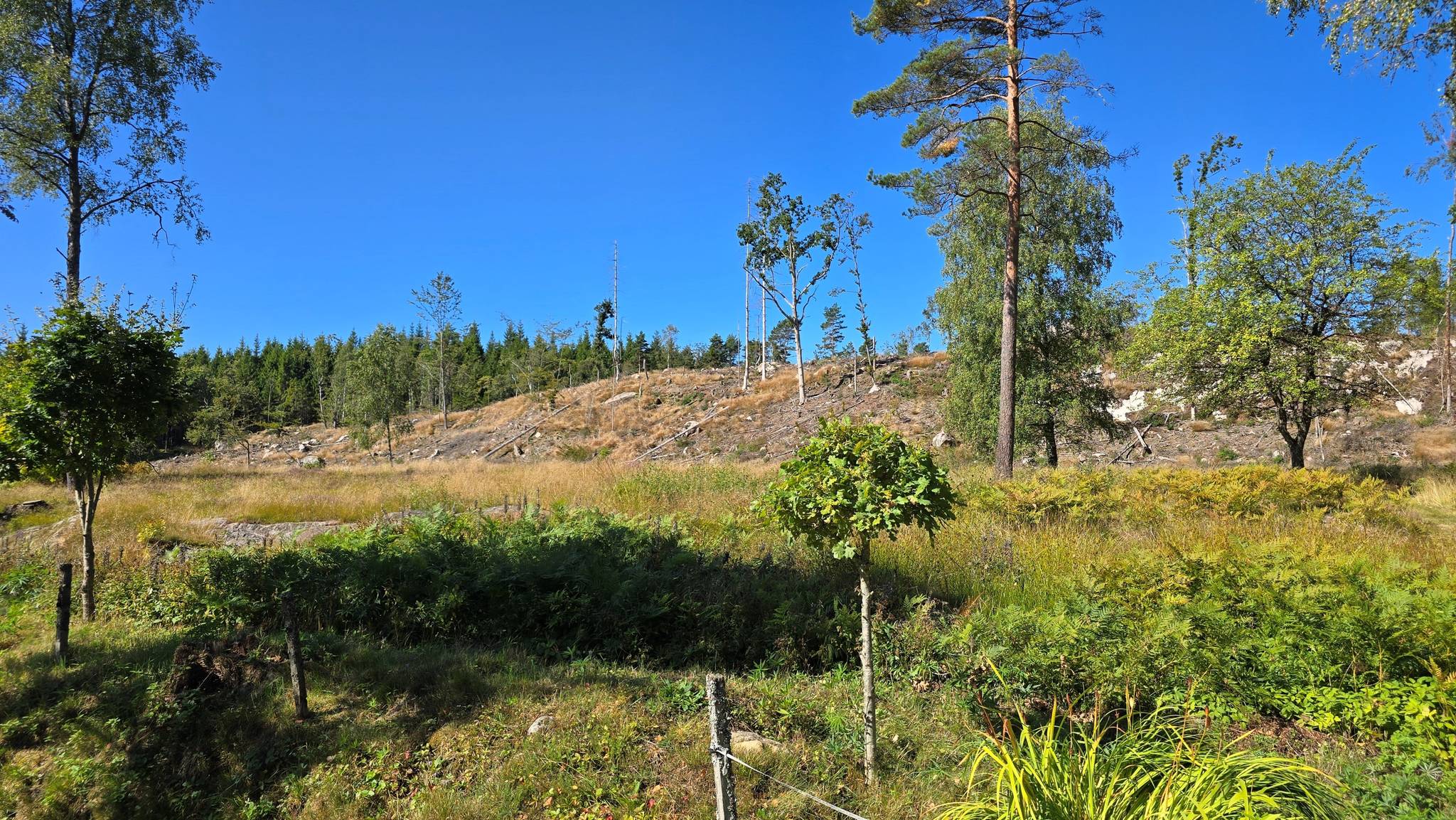 3 rum Vinterbonat fritidshus på Lingilt 195 Halmstads kommun - bild 22