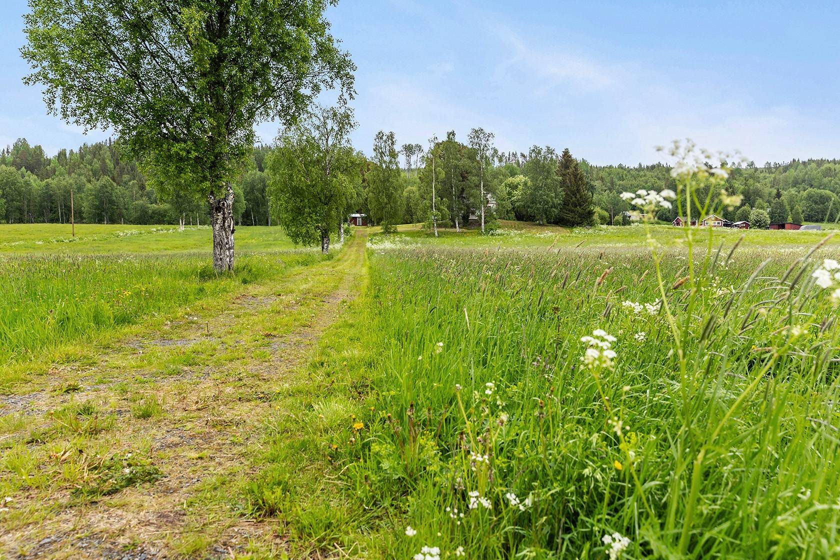 5 rum Fritidshus på Kyrktåsjö 470 Hoting Strömsunds kommun - bild 22