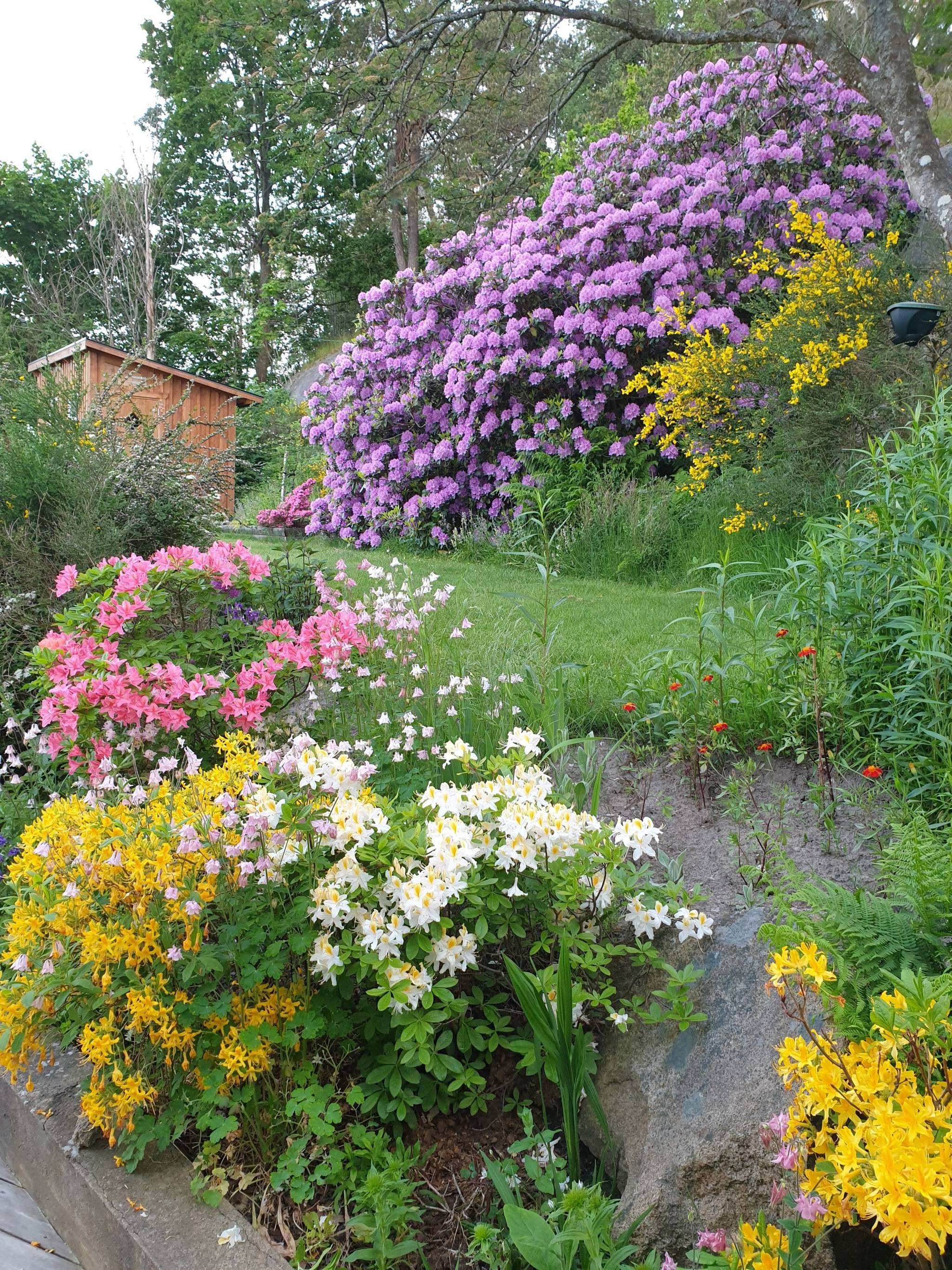 5 rum Villa på Bergsvägen 7 Kissleberg Uddevalla kommun - bild 40