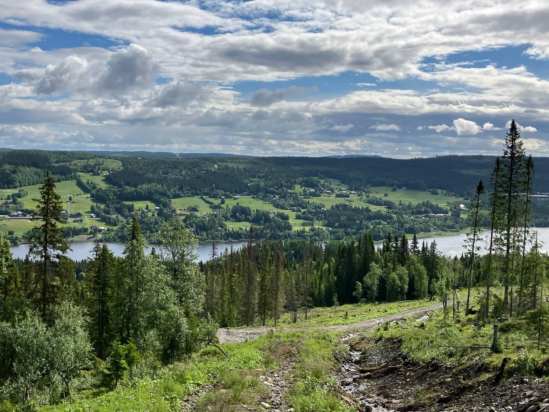 gård med skogsbruk på ÅRE HÅRBÖRSTA 1:54 Undersåker, Åre kommun - bild 2