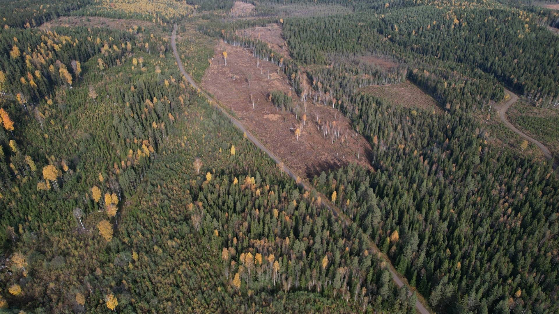 Gård/skog på RAGUNDA RAGUNDA-BÖLE 2:107 Ragunda kommun - bild 6