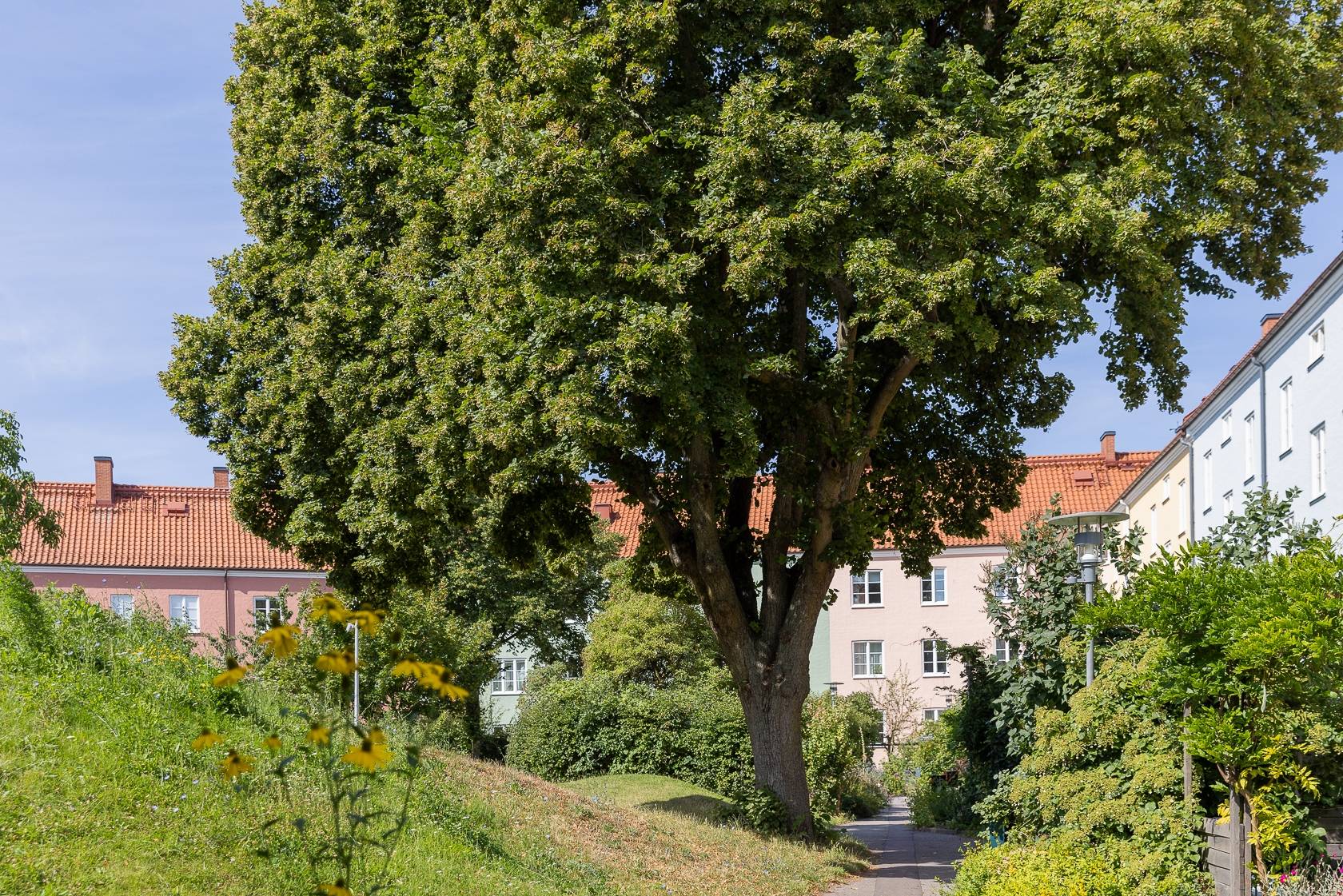 3 rum Lägenhet på Östergårdsgatan 1 U 6 Kirseberg Malmö kommun - bild 33