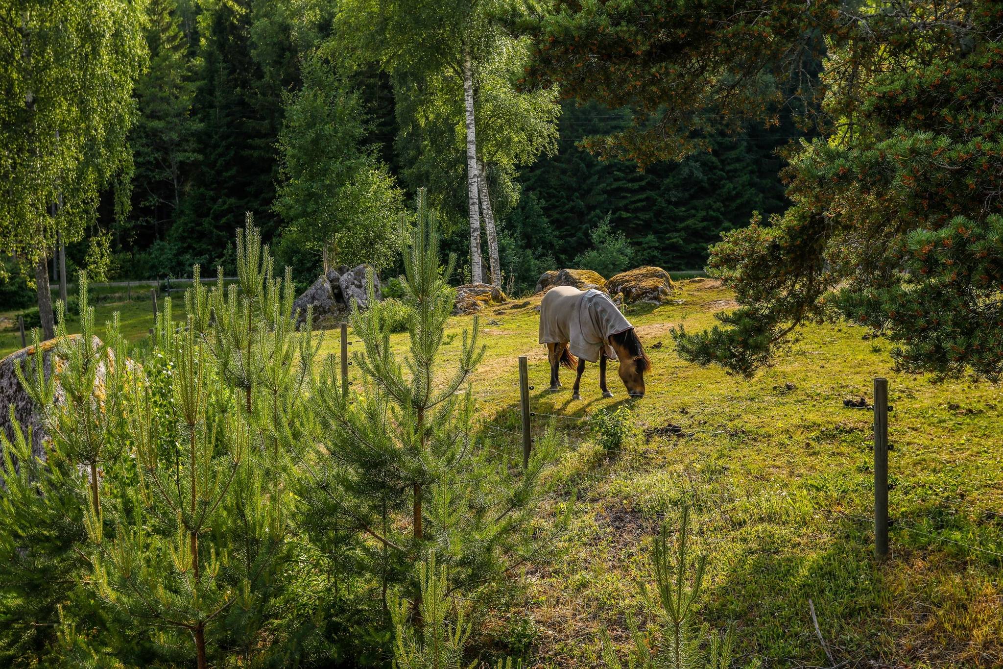 5 rum Gård/skog på Vinna Vena 257 Askersunds kommun - bild 45