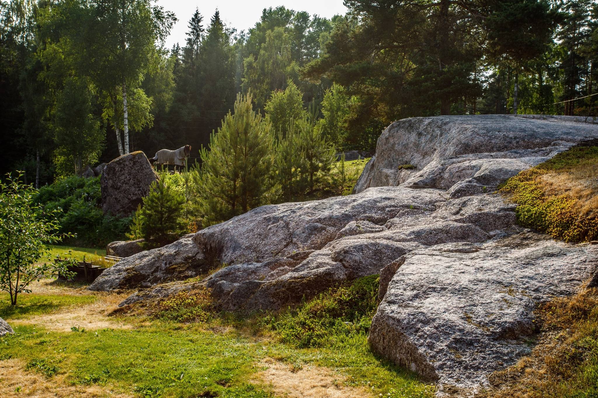 5 rum Gård/skog på Vinna Vena 257 Askersunds kommun - bild 44