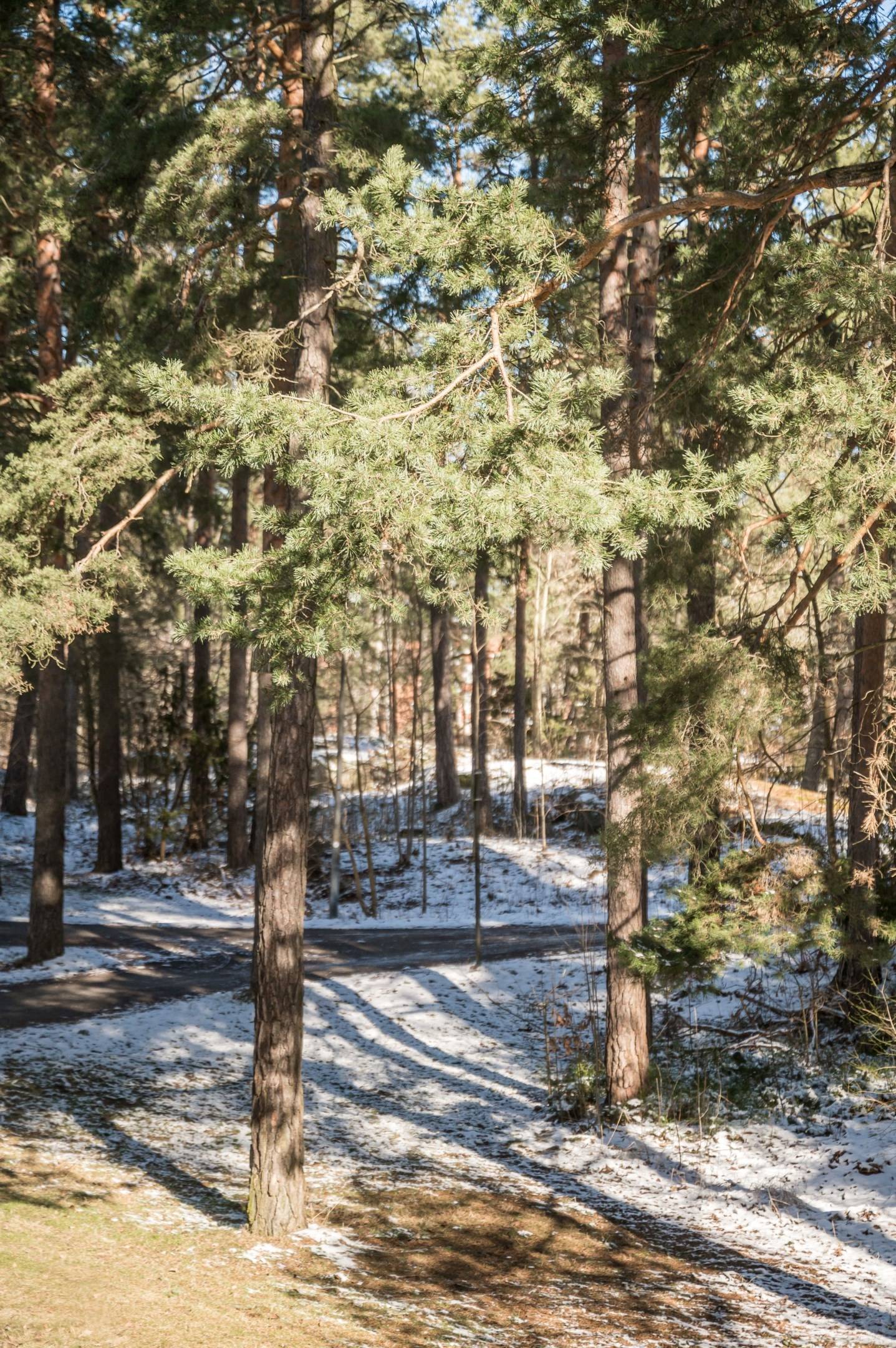 2 rum Lägenhet på Gruvgången 93 Gruvlyckan Karlstads kommun - bild 19