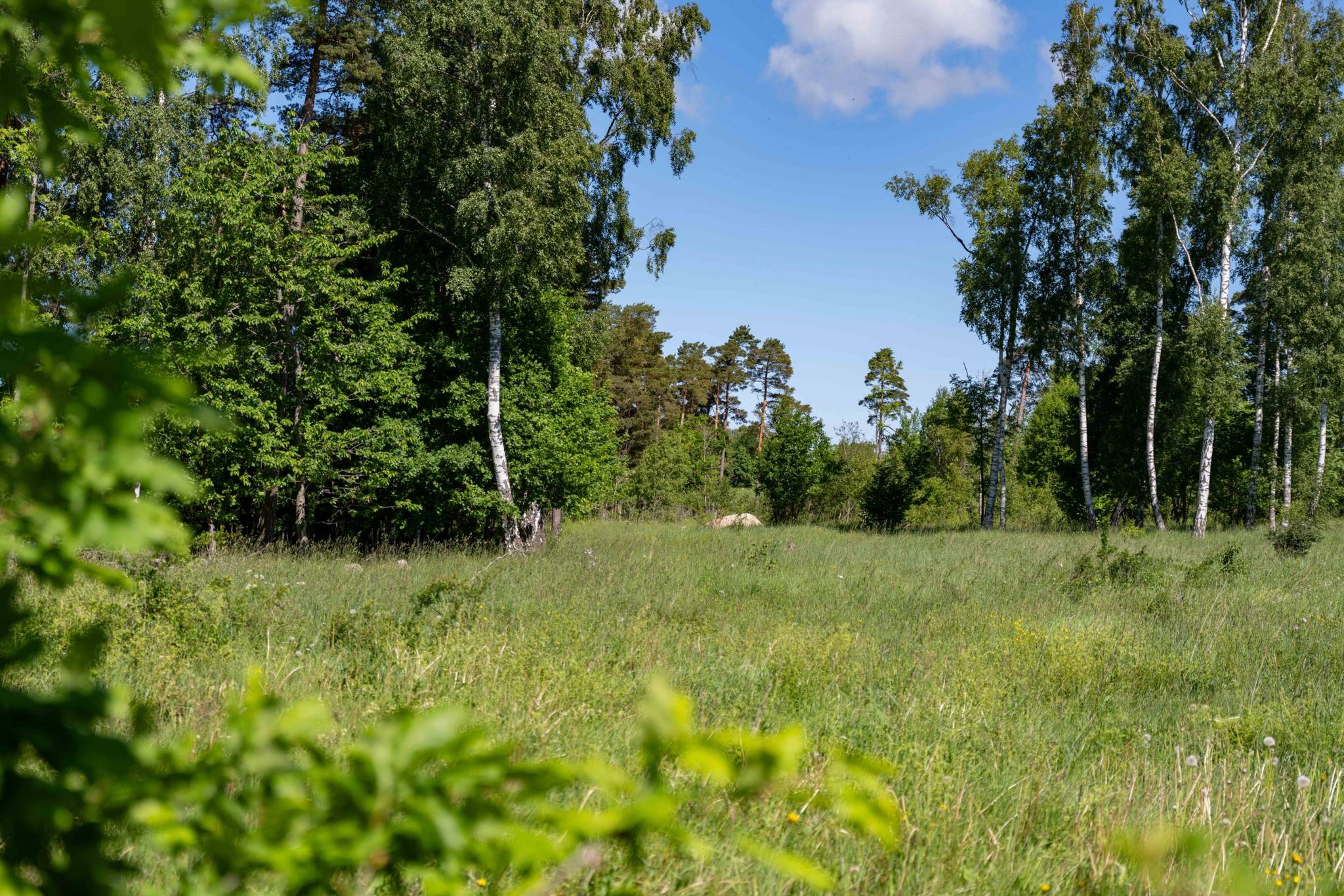 Tomt på Sanda Bäckstäde 486 Västra Gotland - Sanda Gotlands kommun - bild 6