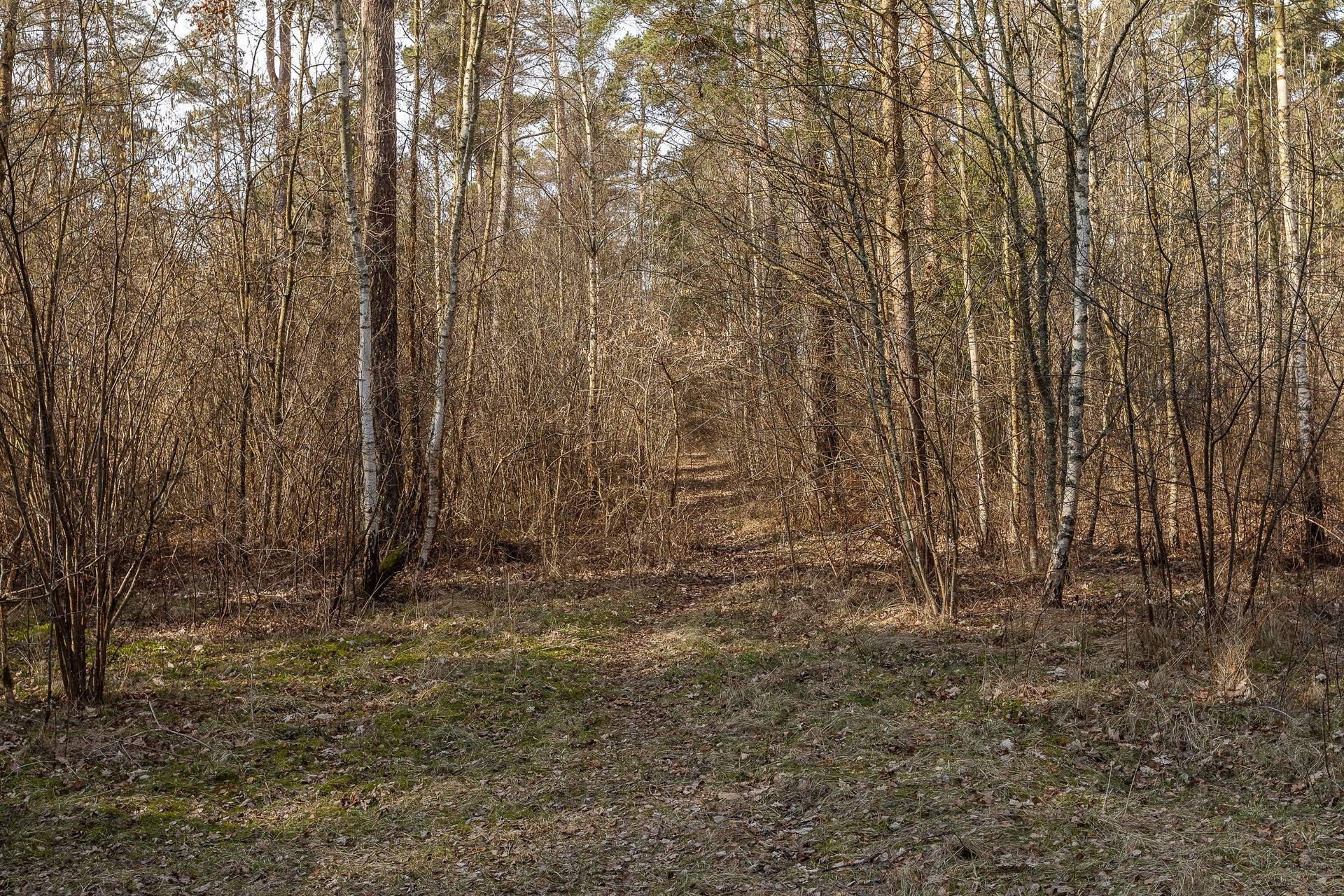 4 rum Fritidshus på Dansbanevägen 21 Stora frö Mörbylånga kommun - bild 15