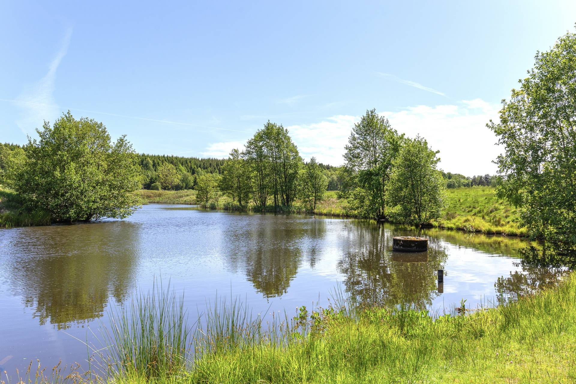 Gård med jordbruk på Östra Ryr 230 Romelanda Diseröd Kungälvs kommun - bild 17
