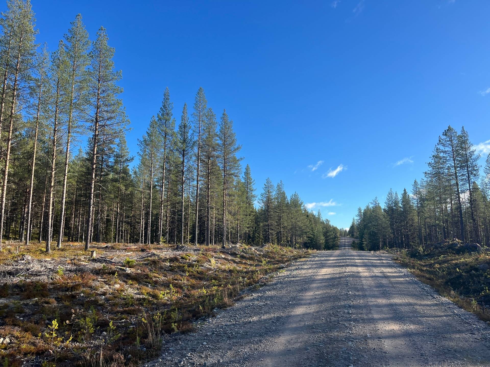 Gård/skog Malå Malå kommun - bild 6