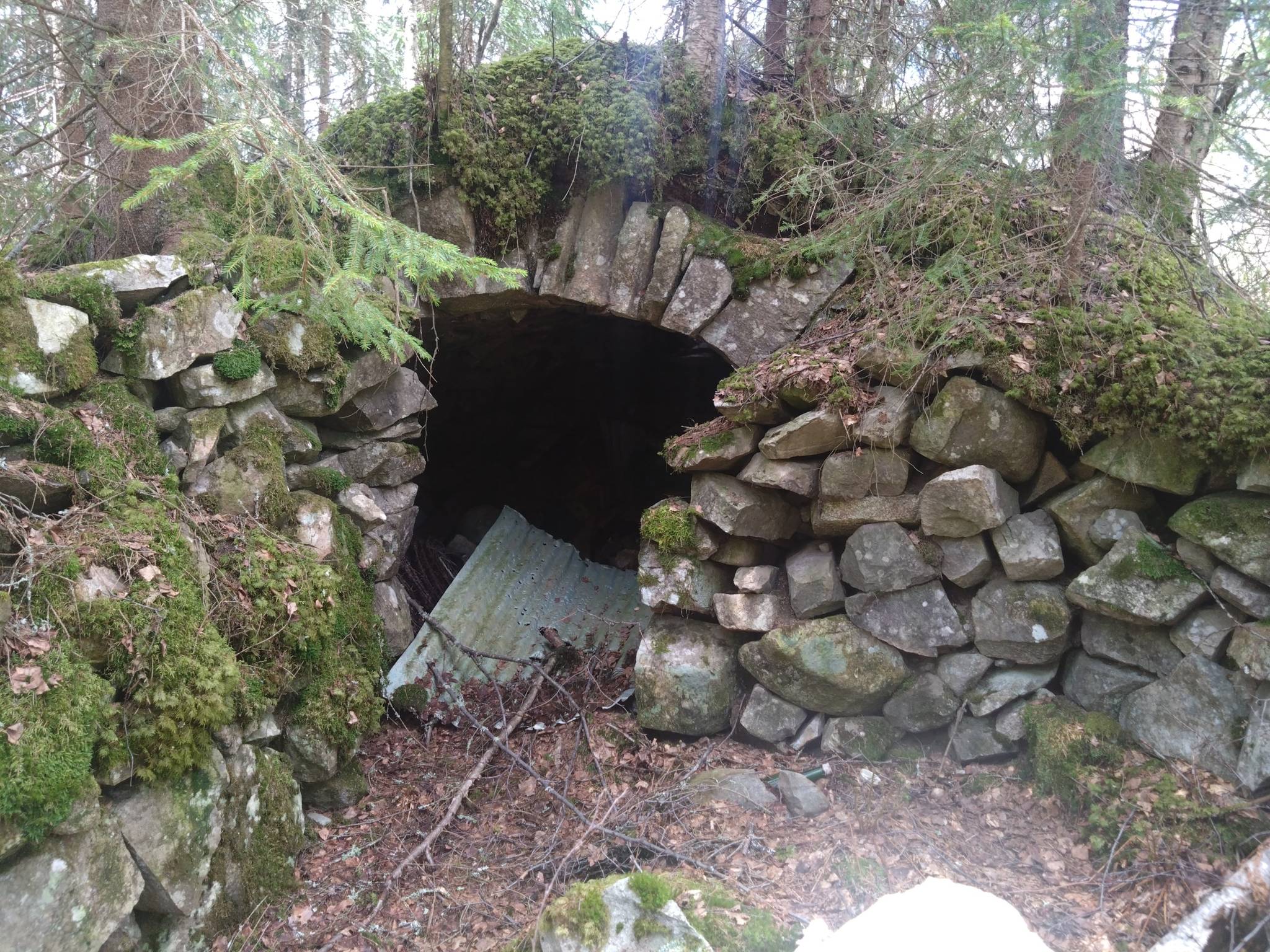 Gård med skogsbruk på Stora Smedberget, Älvhöjden Ljusnarsbergs kommun - bild 12
