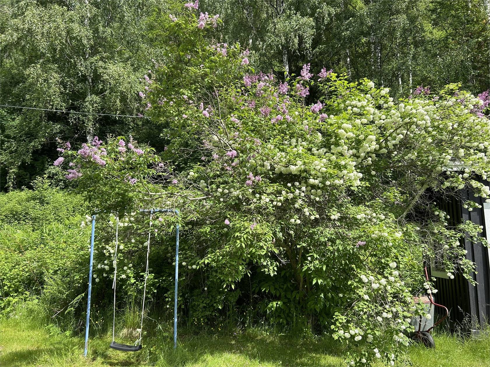 45 m² Fritidshus på Björking 335 Sollefteå Sollefteå kommun - bild 11