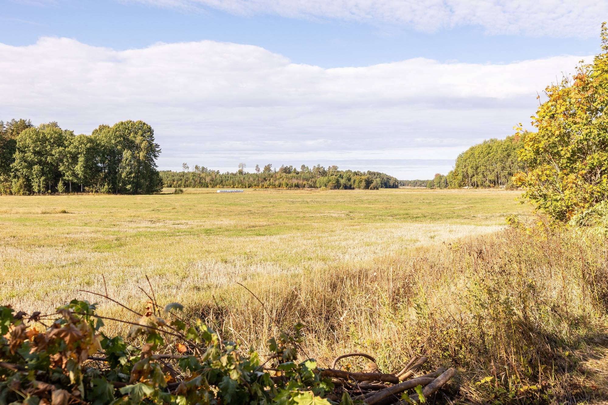 6 rum Gård/skog på Rickeby 21 Knutby Uppsala kommun - bild 55