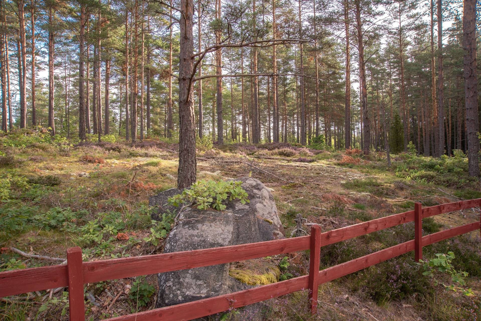 4 rum Fritidshus på Bjursund Horsviken 6 Loftahammar Västerviks kommun - bild 50