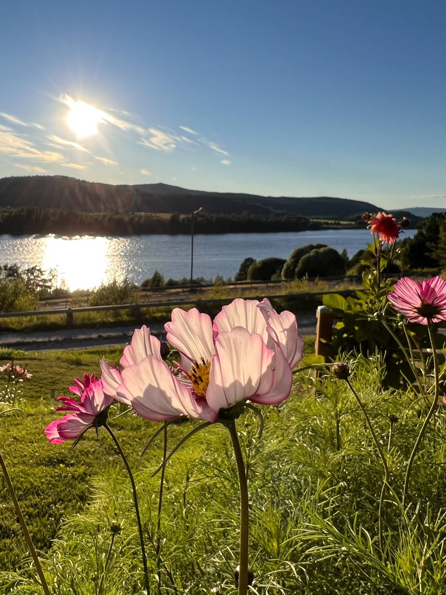 4 rum Villa på Styrnäs 102 Höga kusten Kramfors kommun - bild 35