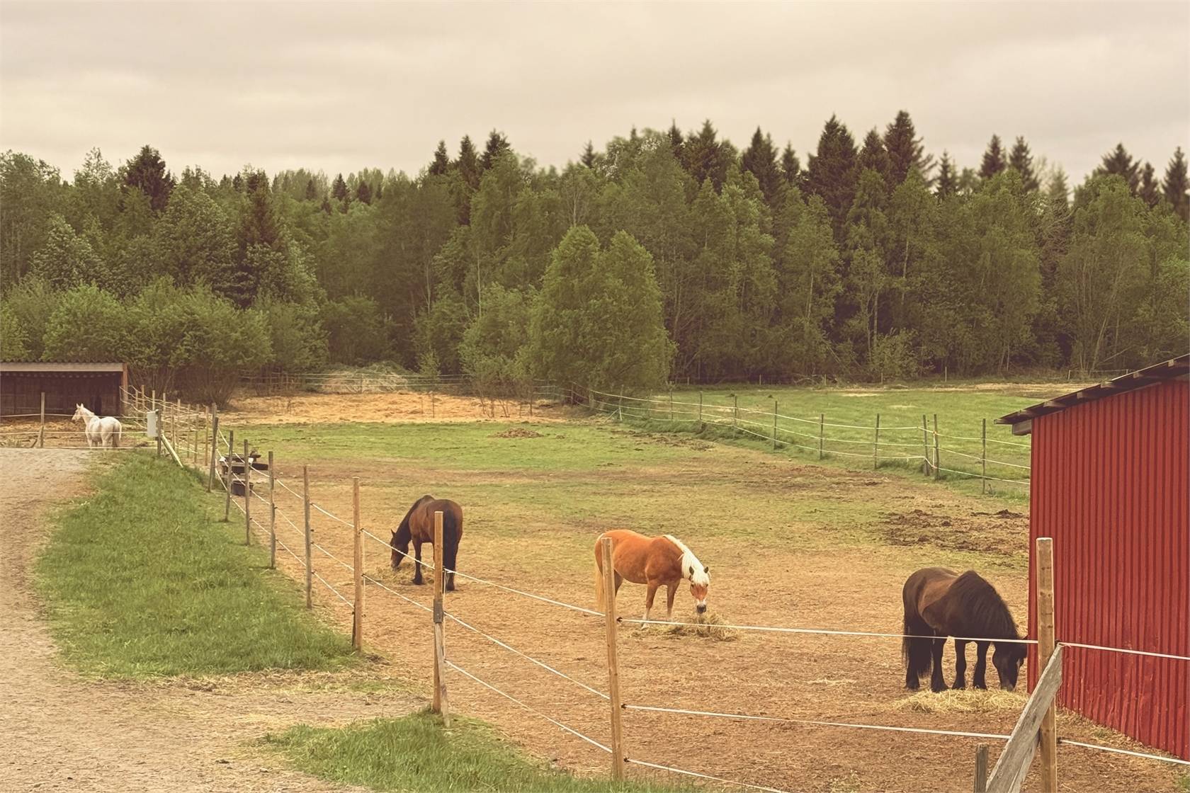 5 rum Villa på Kyan 218 Lövånger Skellefteå kommun - bild 47
