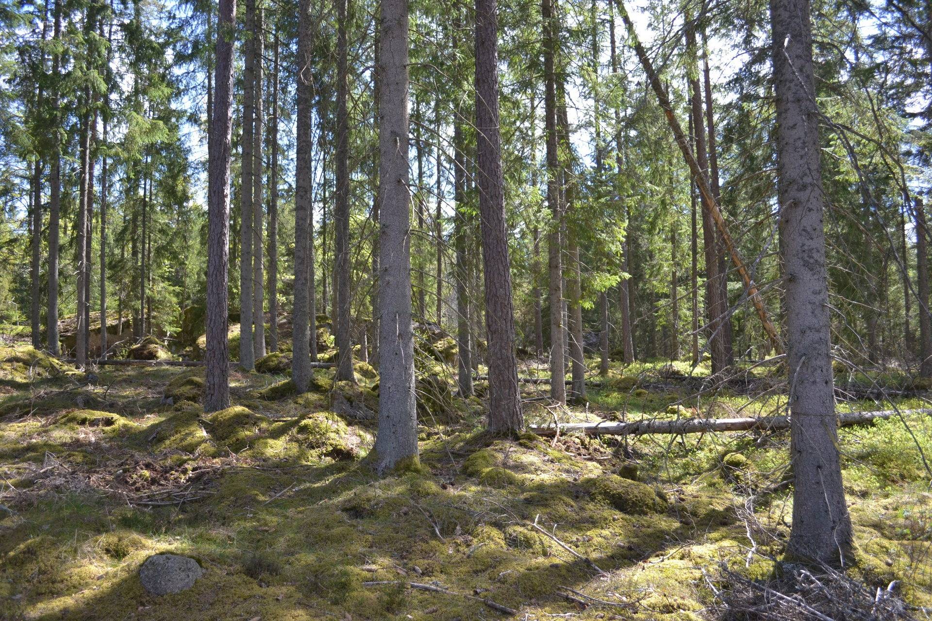 Gård/skog på Lindet 404 Lindet Karlskrona kommun - bild 24