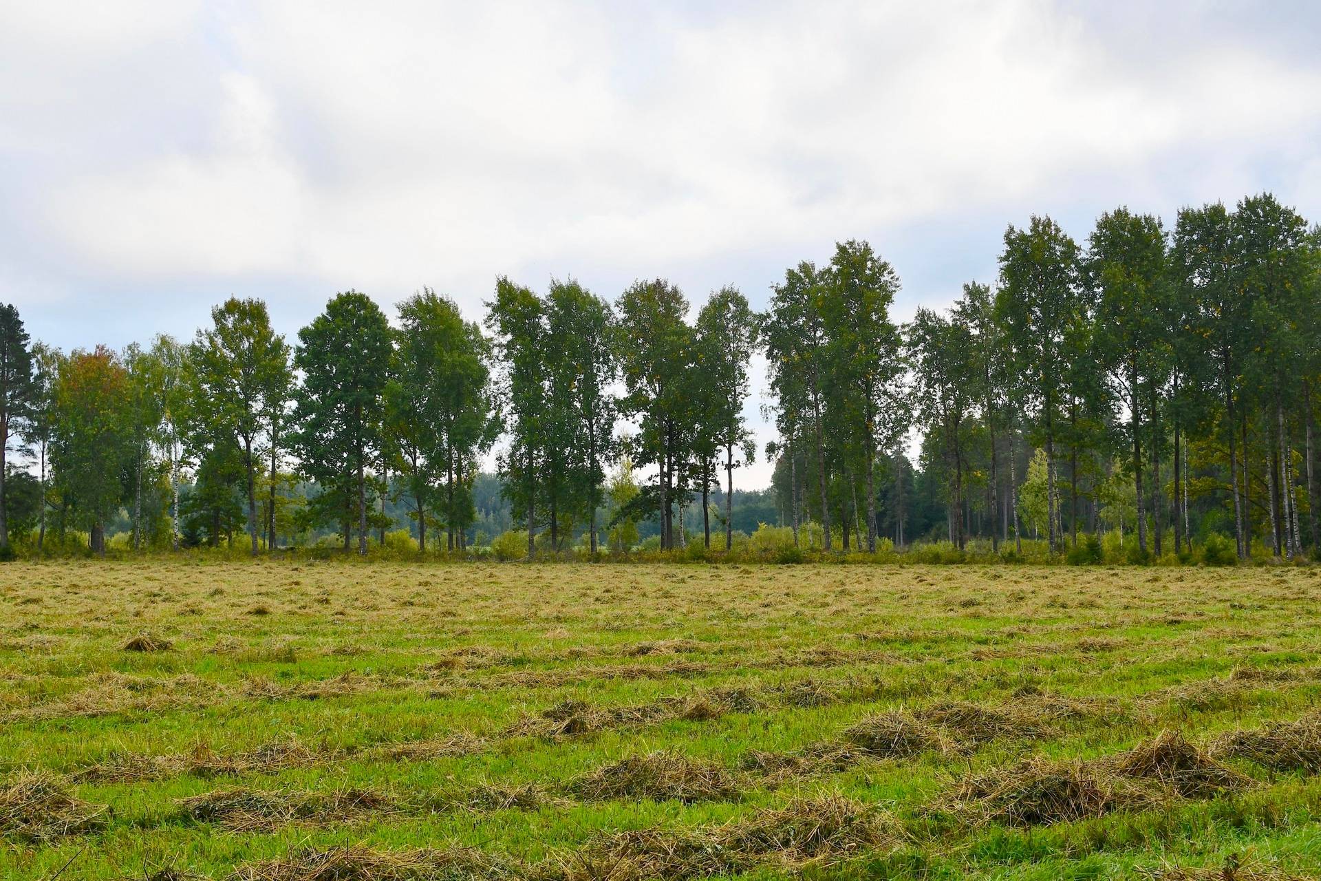 Gård med skogsbruk Binneberg Skövde kommun - bild 19