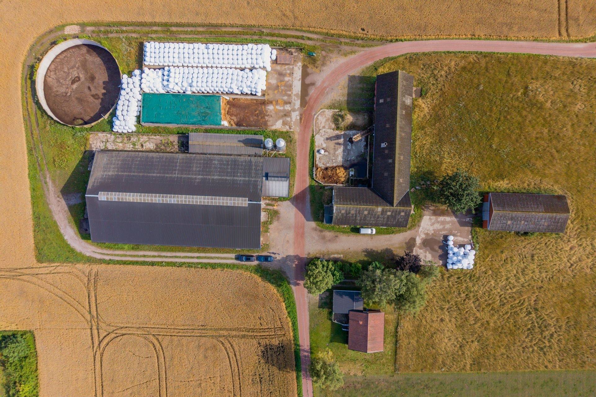Gård/skog på Pregestadsvägen 383-48 Sjöbo kommun - bild 5
