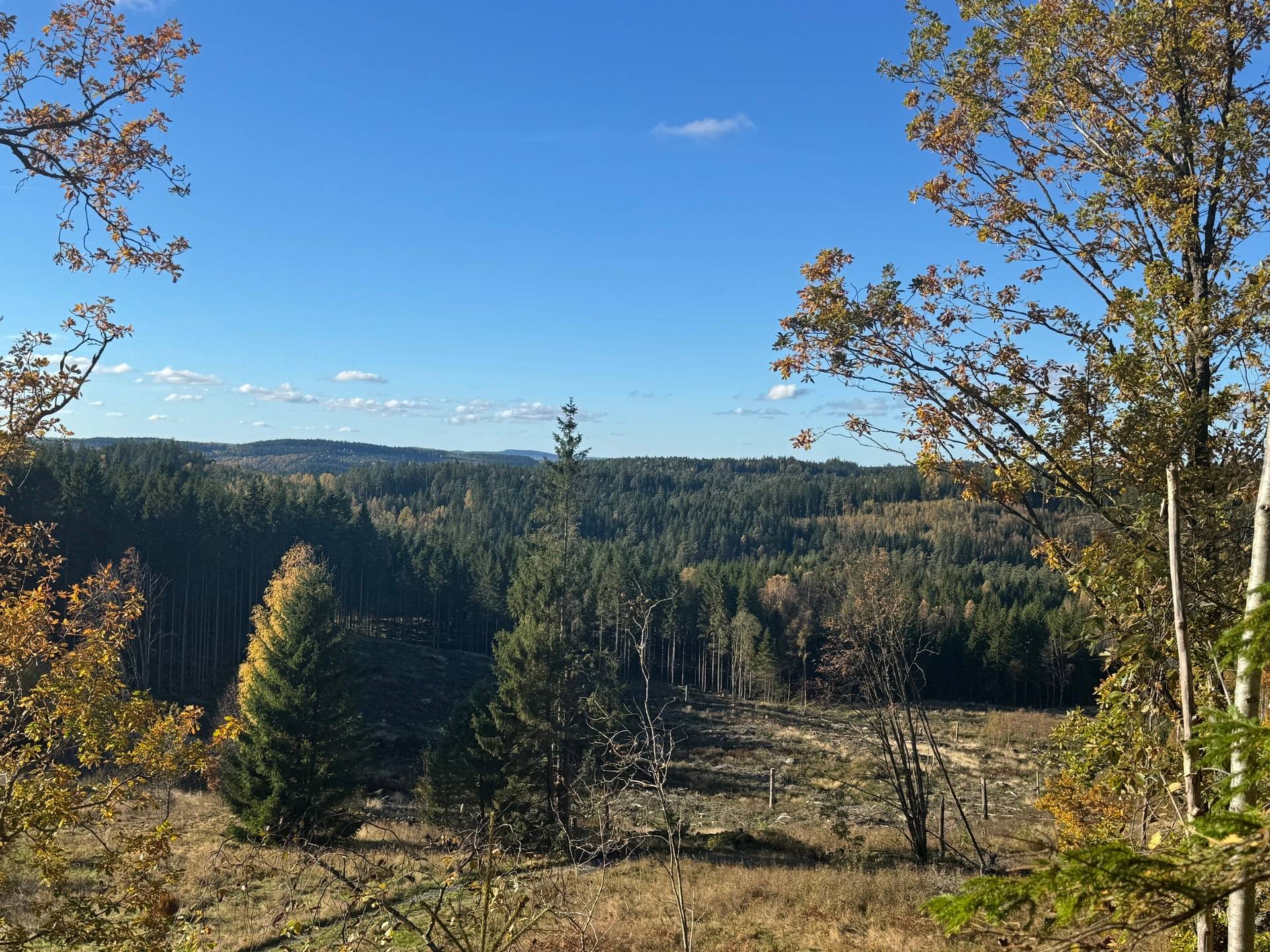 Gård med skogsbruk på Tokhult 1:13 Öxabäck Marks kommun - bild 21