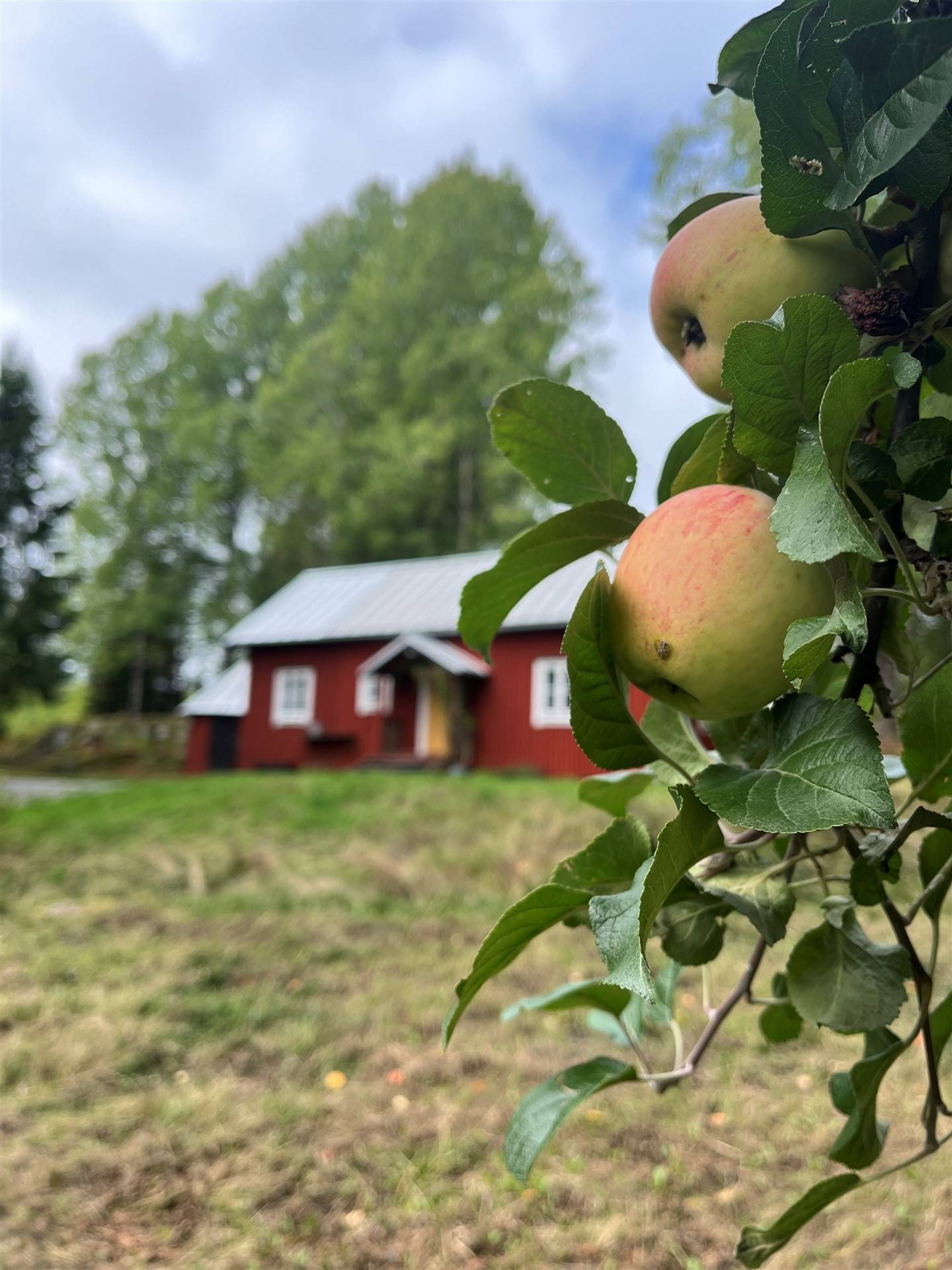 4 rum Fritidshus på Hårsbodavägen 23 Ekeby Norrtälje kommun - bild 37