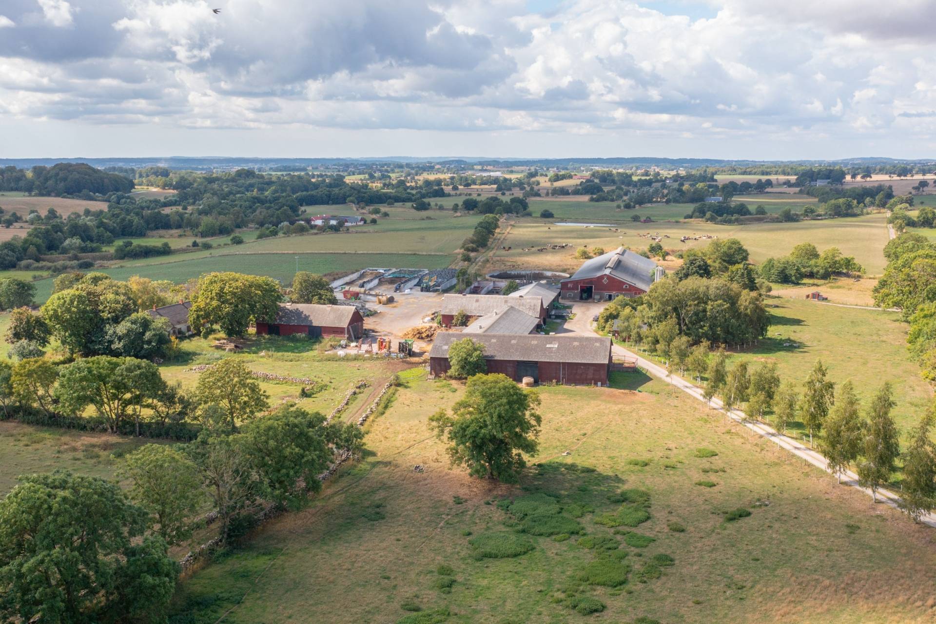 Gård med jordbruk på Östra Klasarödsvägen 262-16 Sjöbo kommun - bild 15