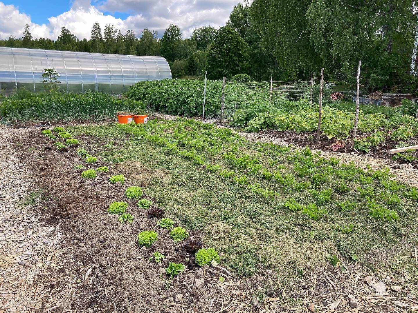 7 rum Gård/skog på Lycka 4 Fors Avesta kommun - bild 15